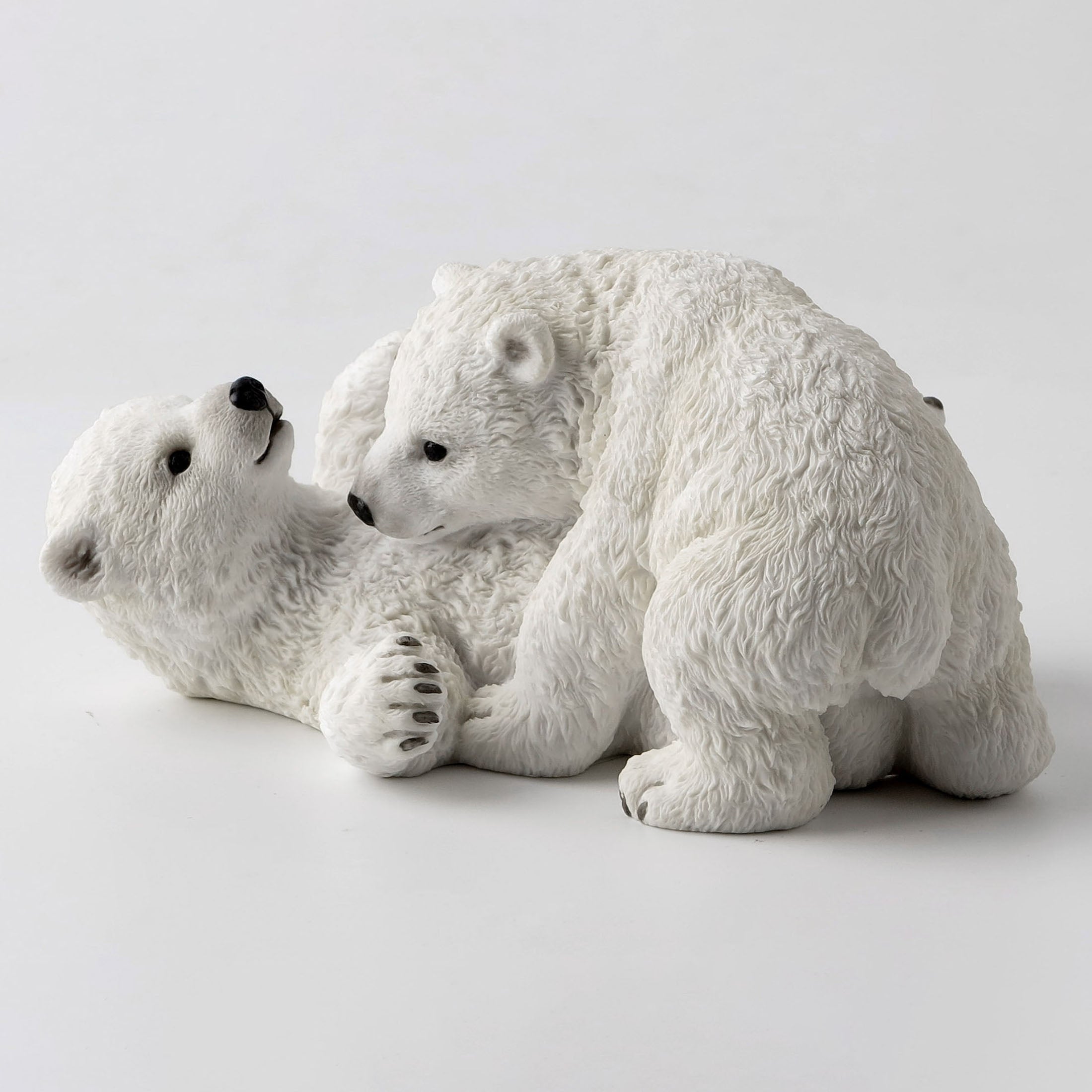 Polar Bears Cubs Playing