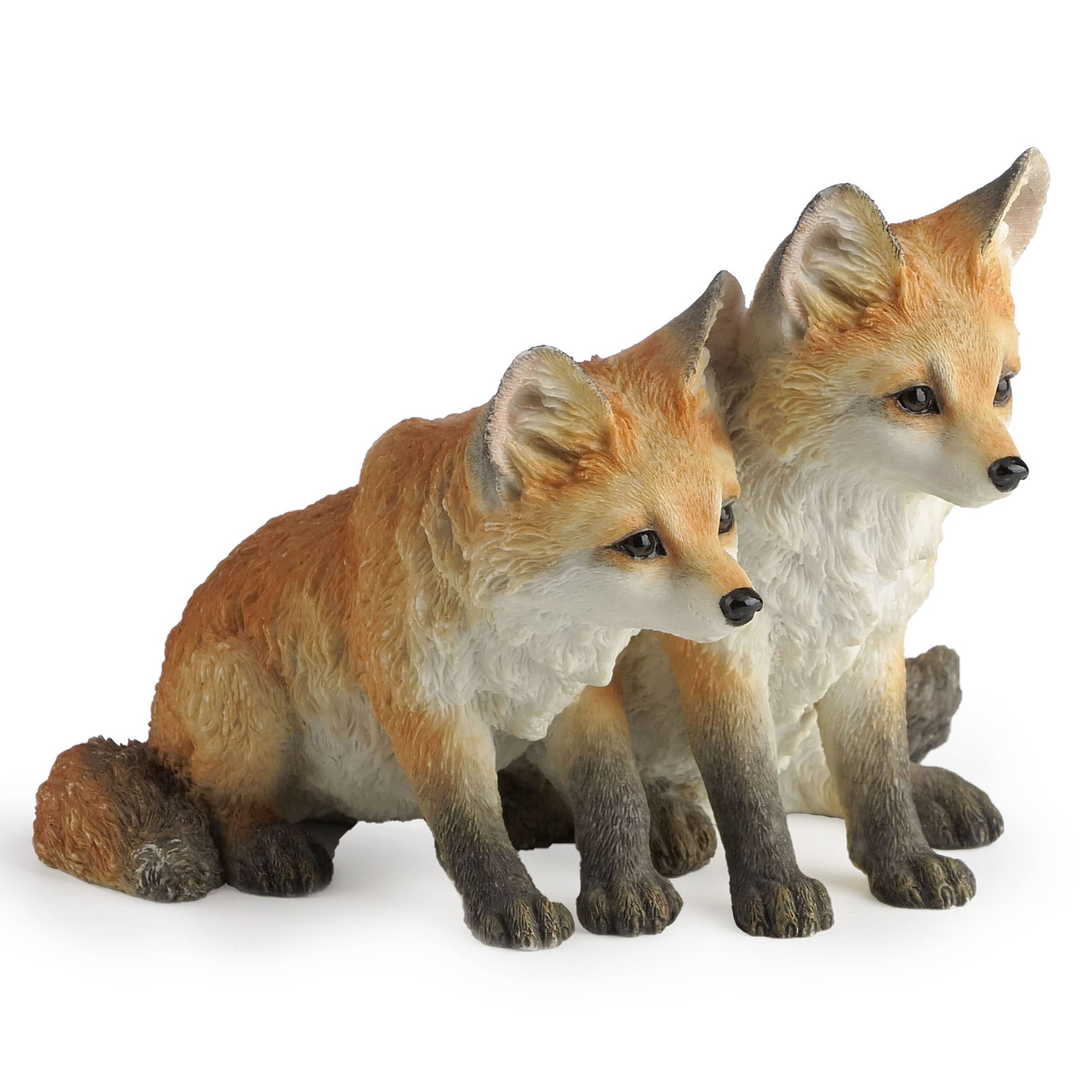 Fox Pups