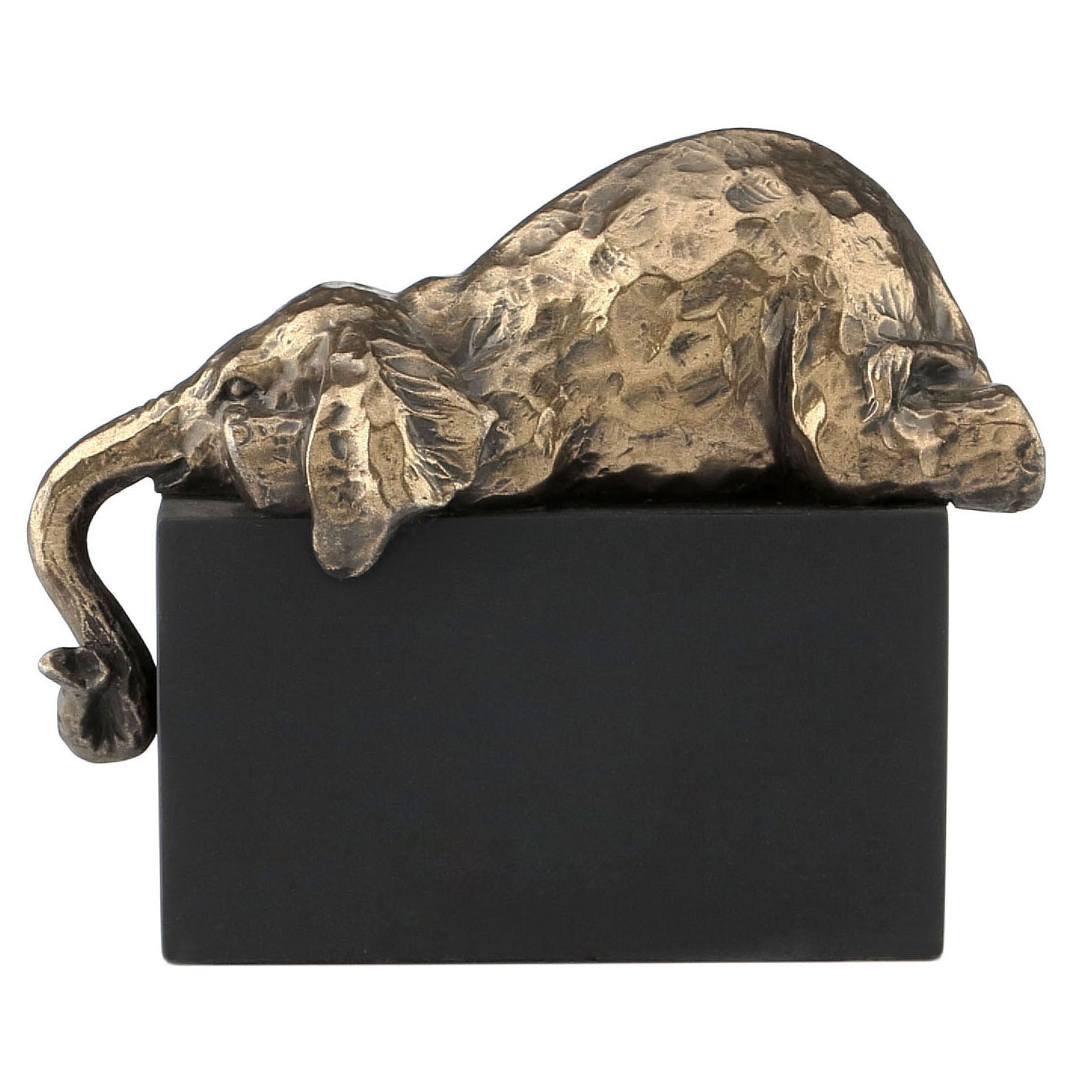 Elephant Chill Out