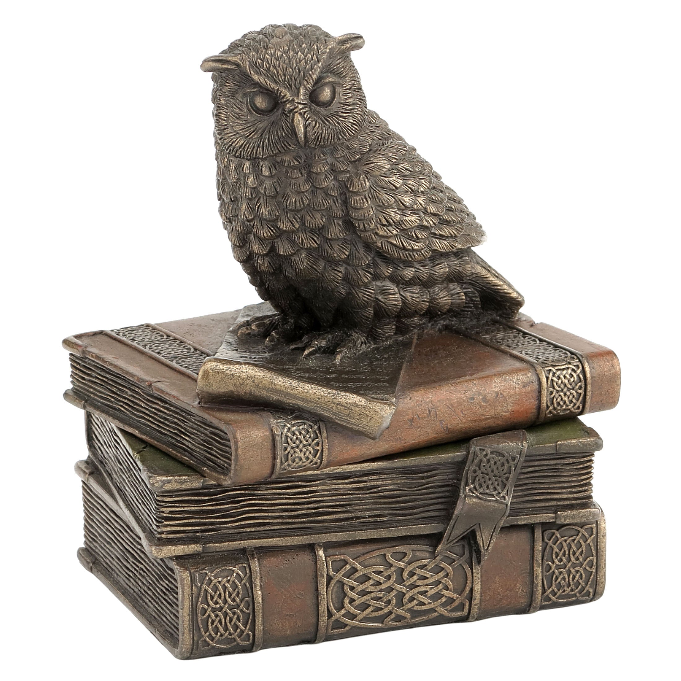 Collared Scops Owl On Books Trinket Box(Mbz+Color)