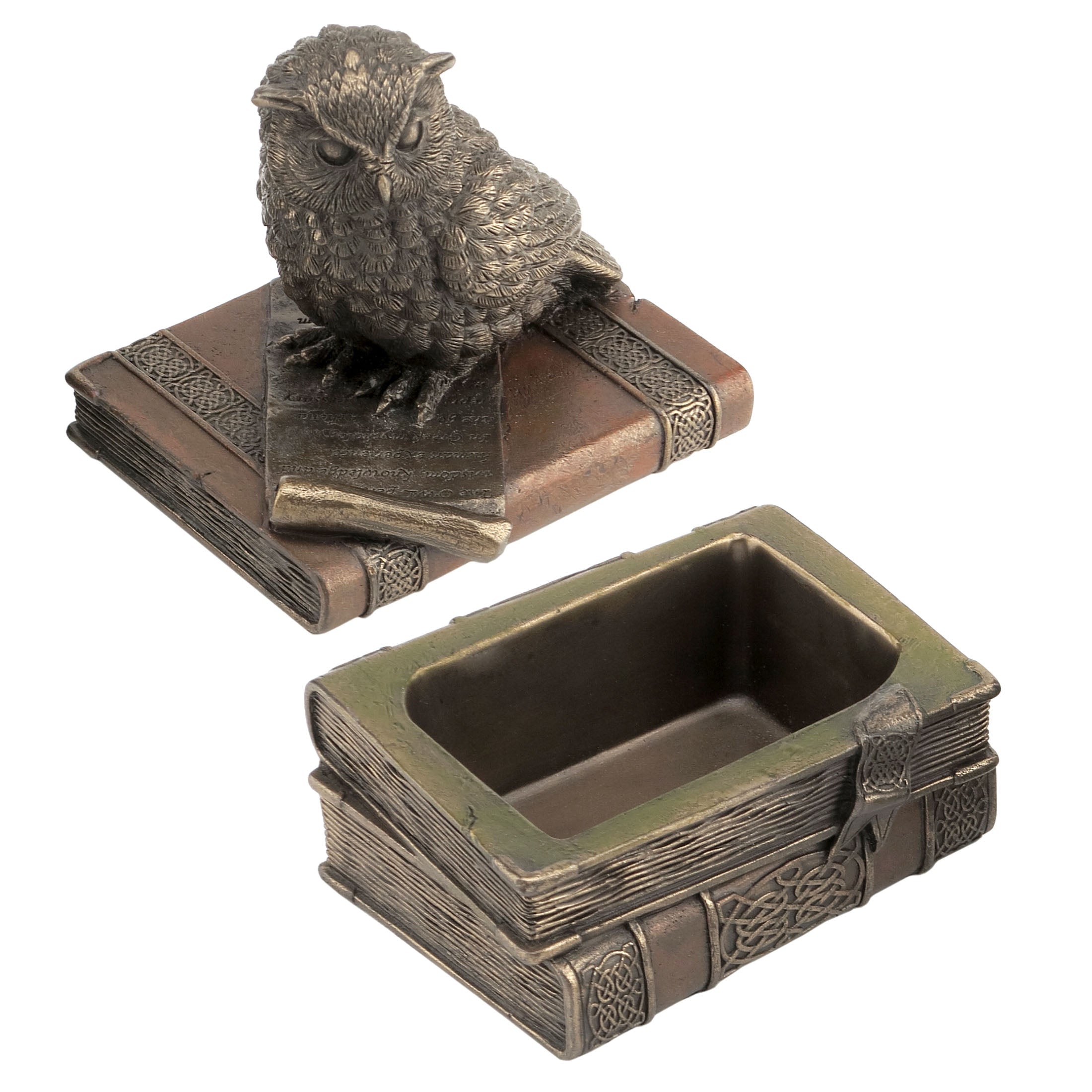 Collared Scops Owl On Books Trinket Box(Mbz+Color)