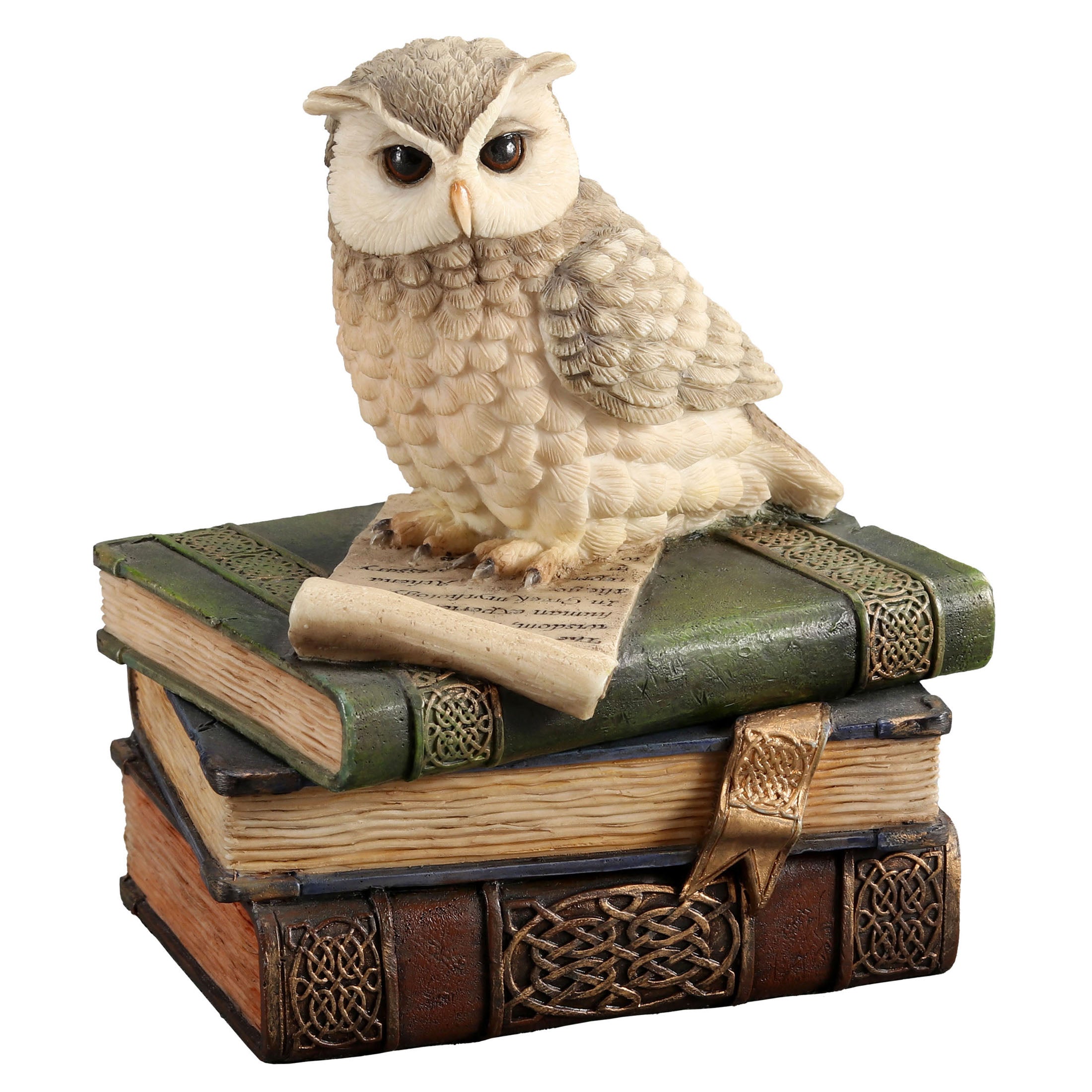 Collared Scops Owl On Books Trinket Box