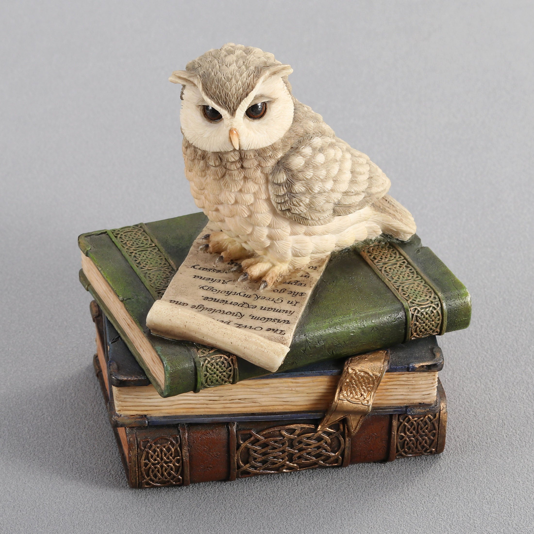 Collared Scops Owl On Books Trinket Box