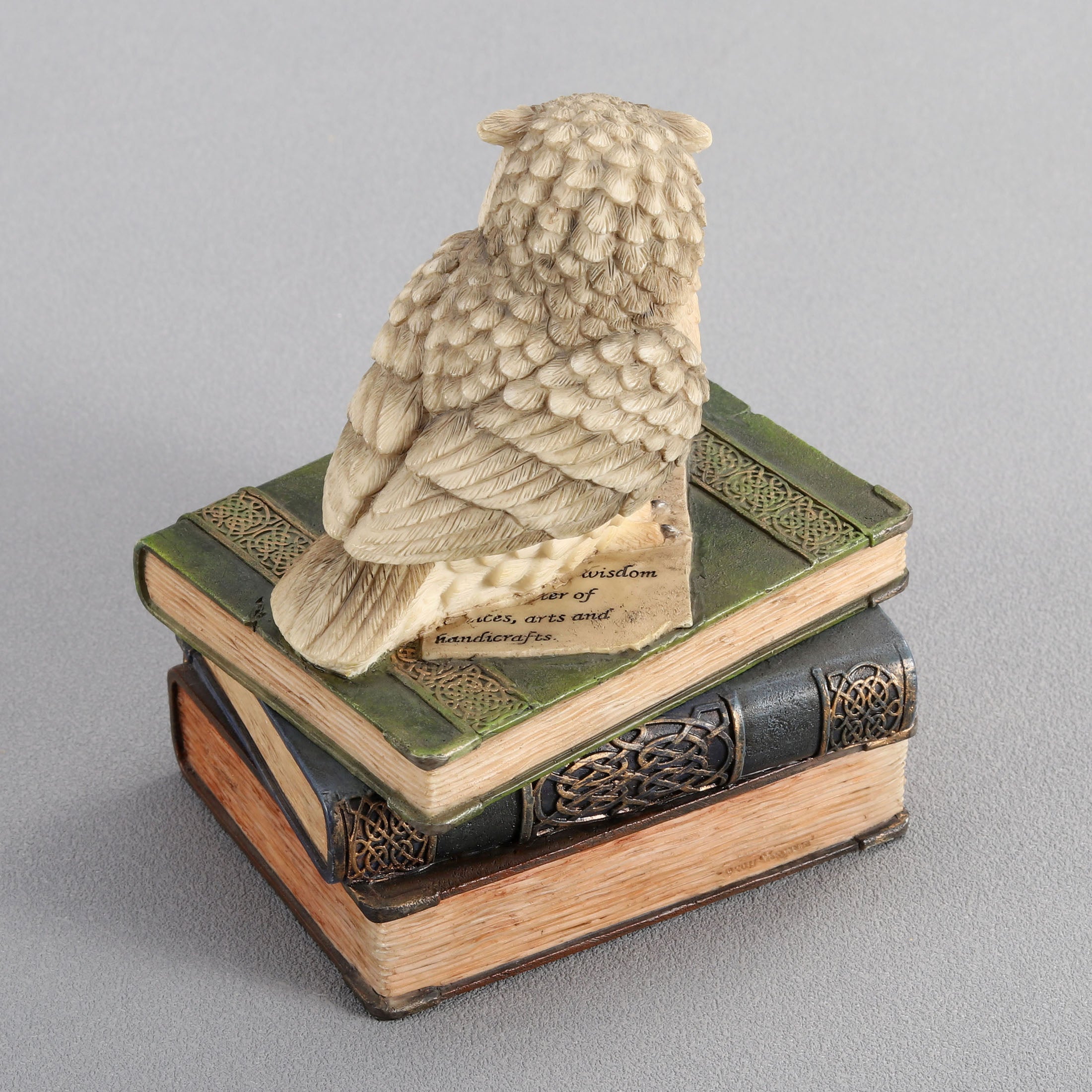 Collared Scops Owl On Books Trinket Box