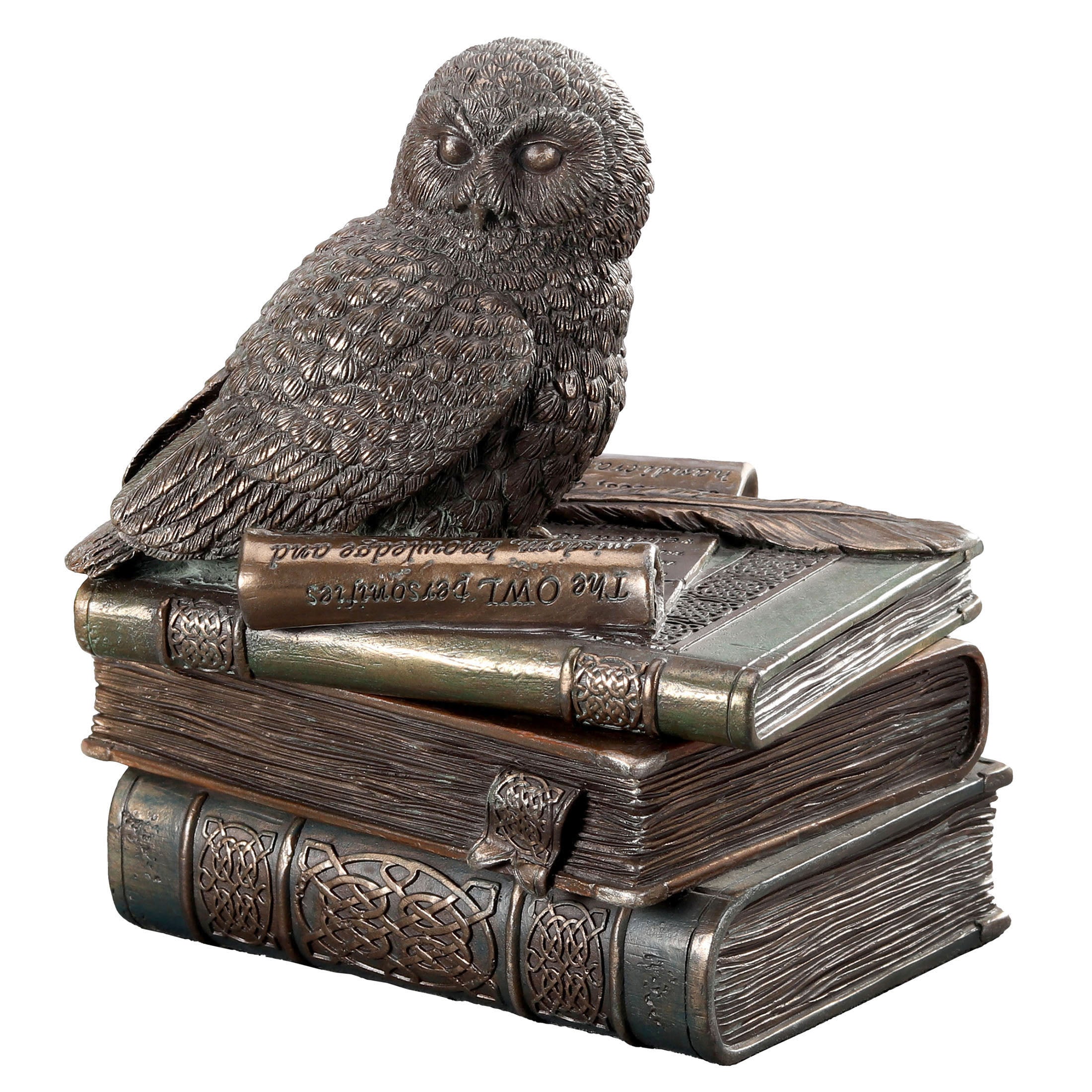 Snow Owl On Books Trinket Box(Mbz+Color)