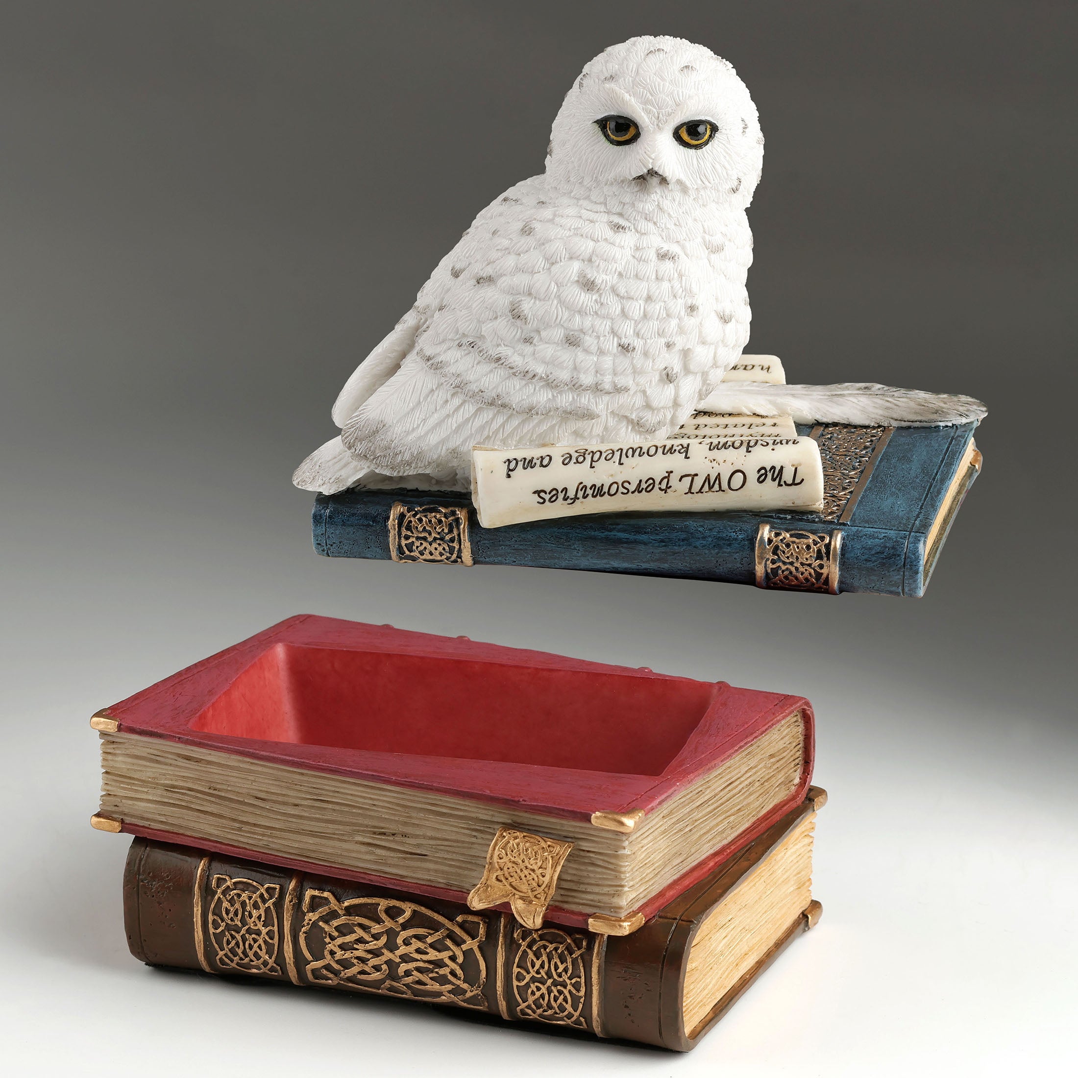 Snow Owl On Books Trinket Box