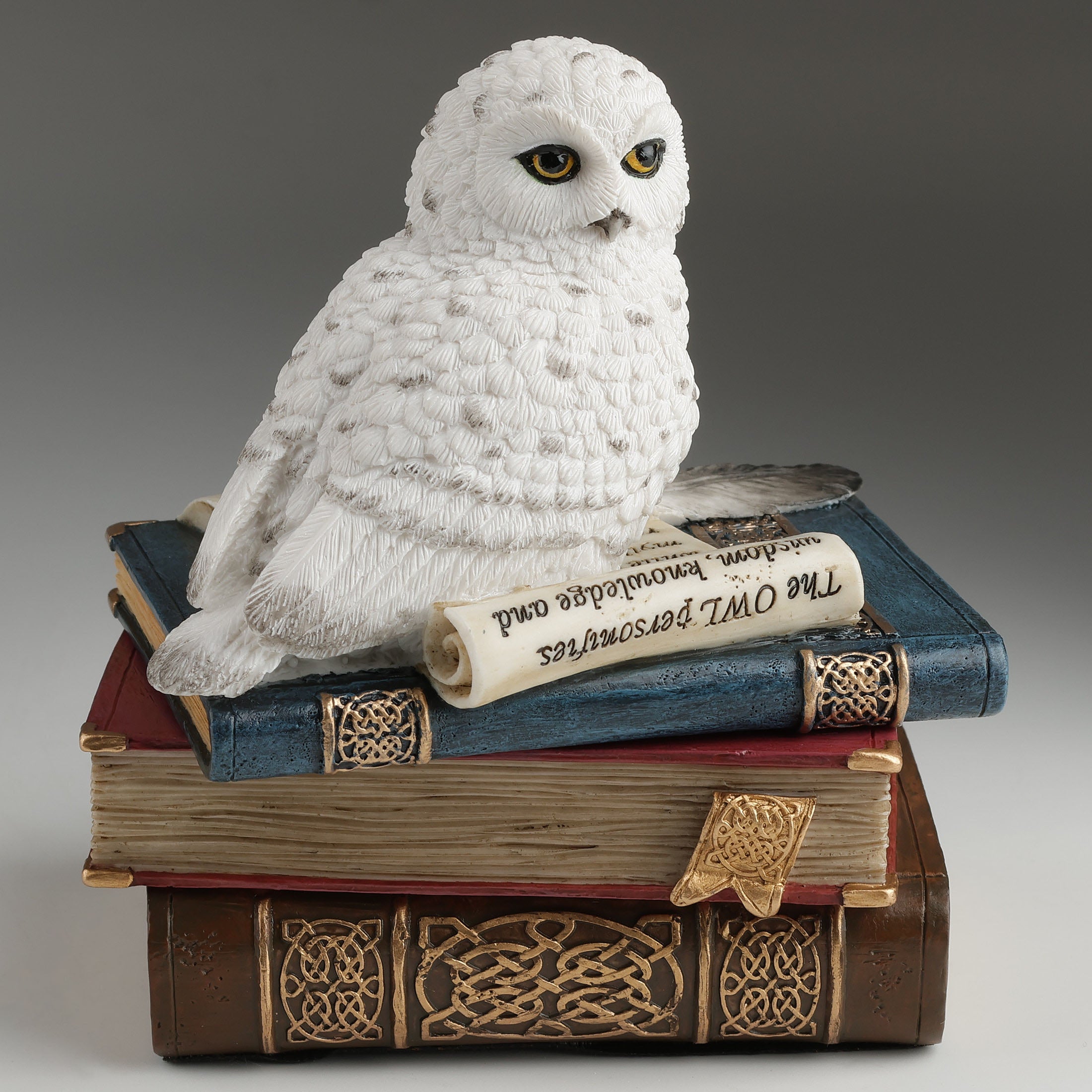 Snow Owl On Books Trinket Box