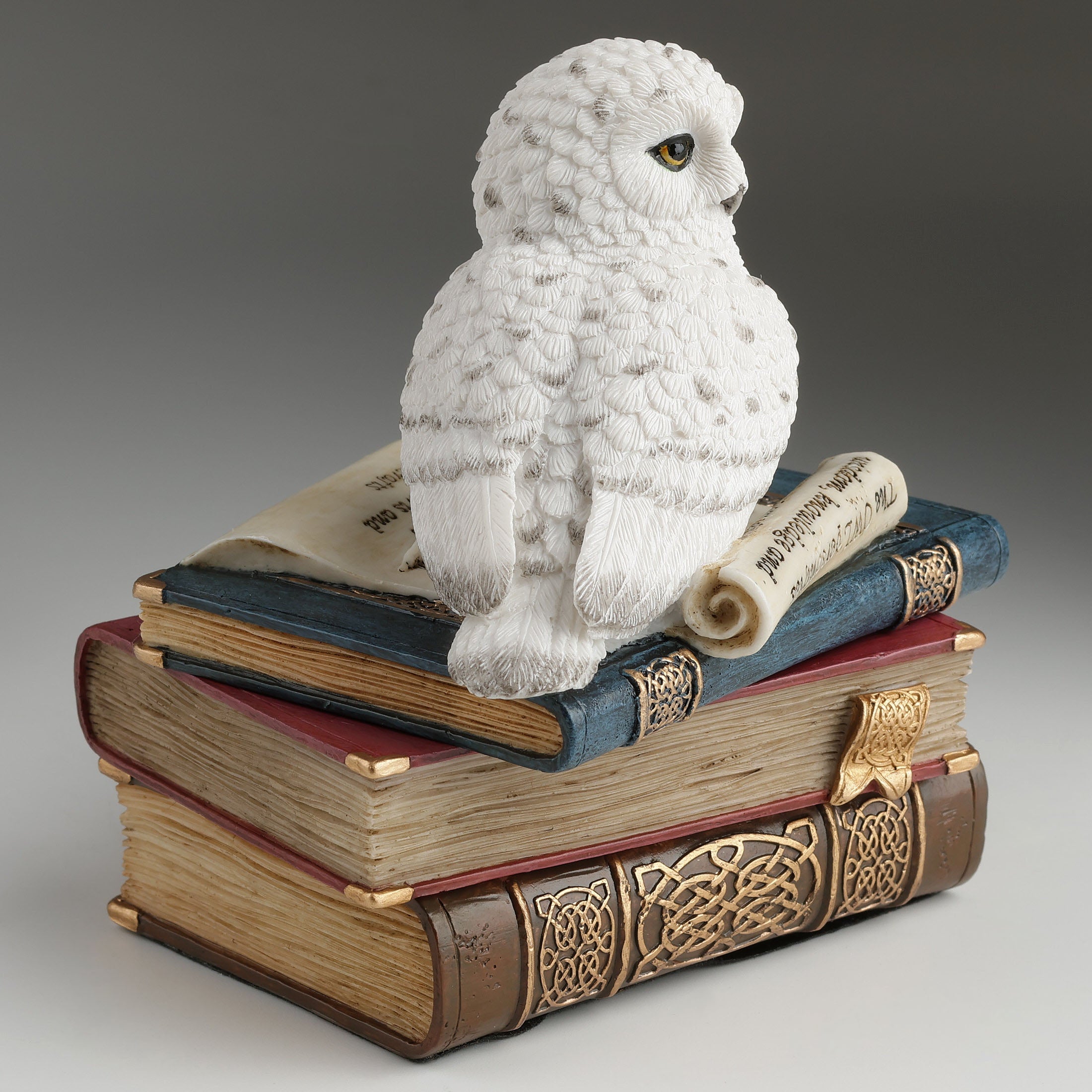 Snow Owl On Books Trinket Box