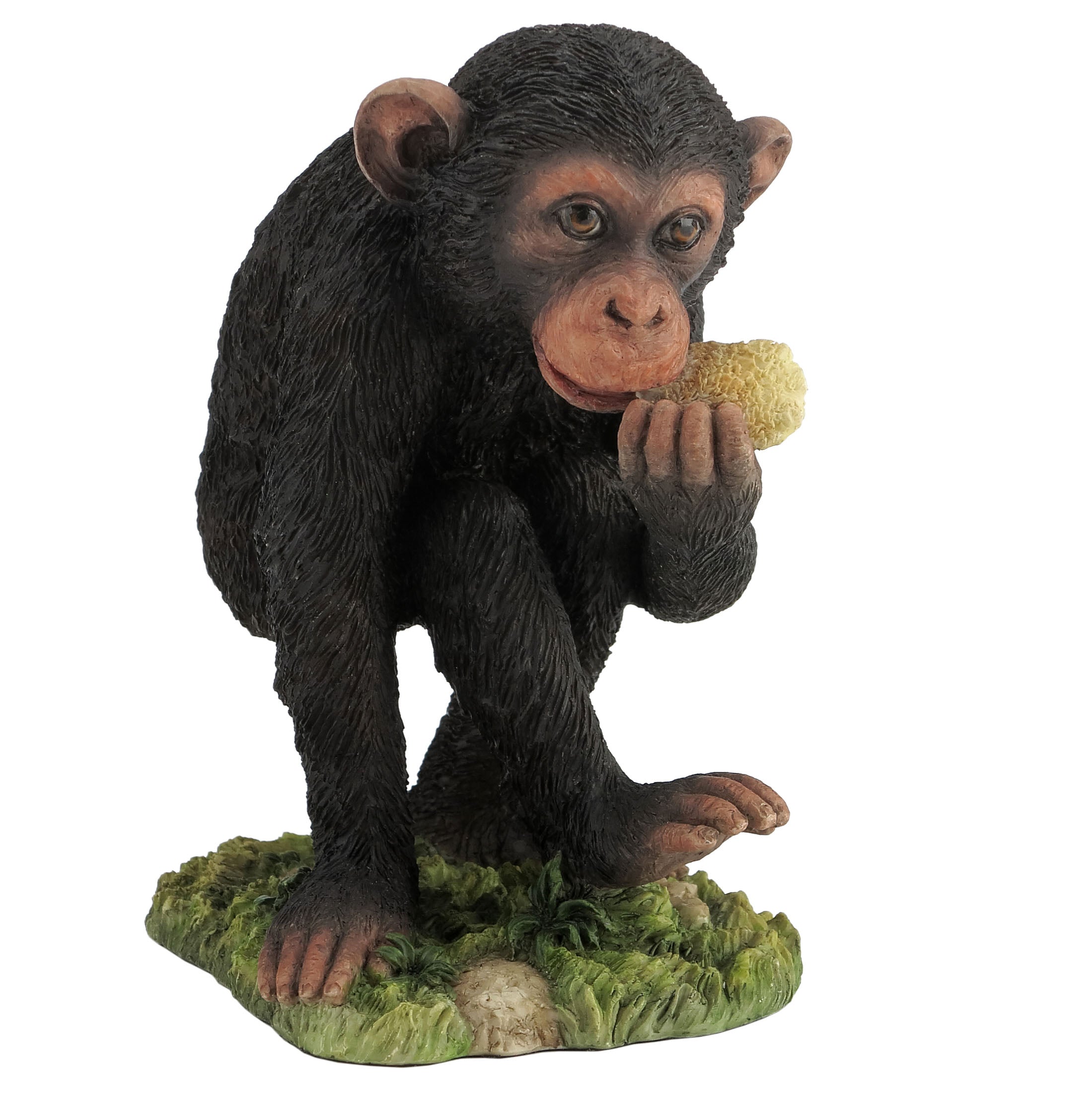 Baby Chimp Eating