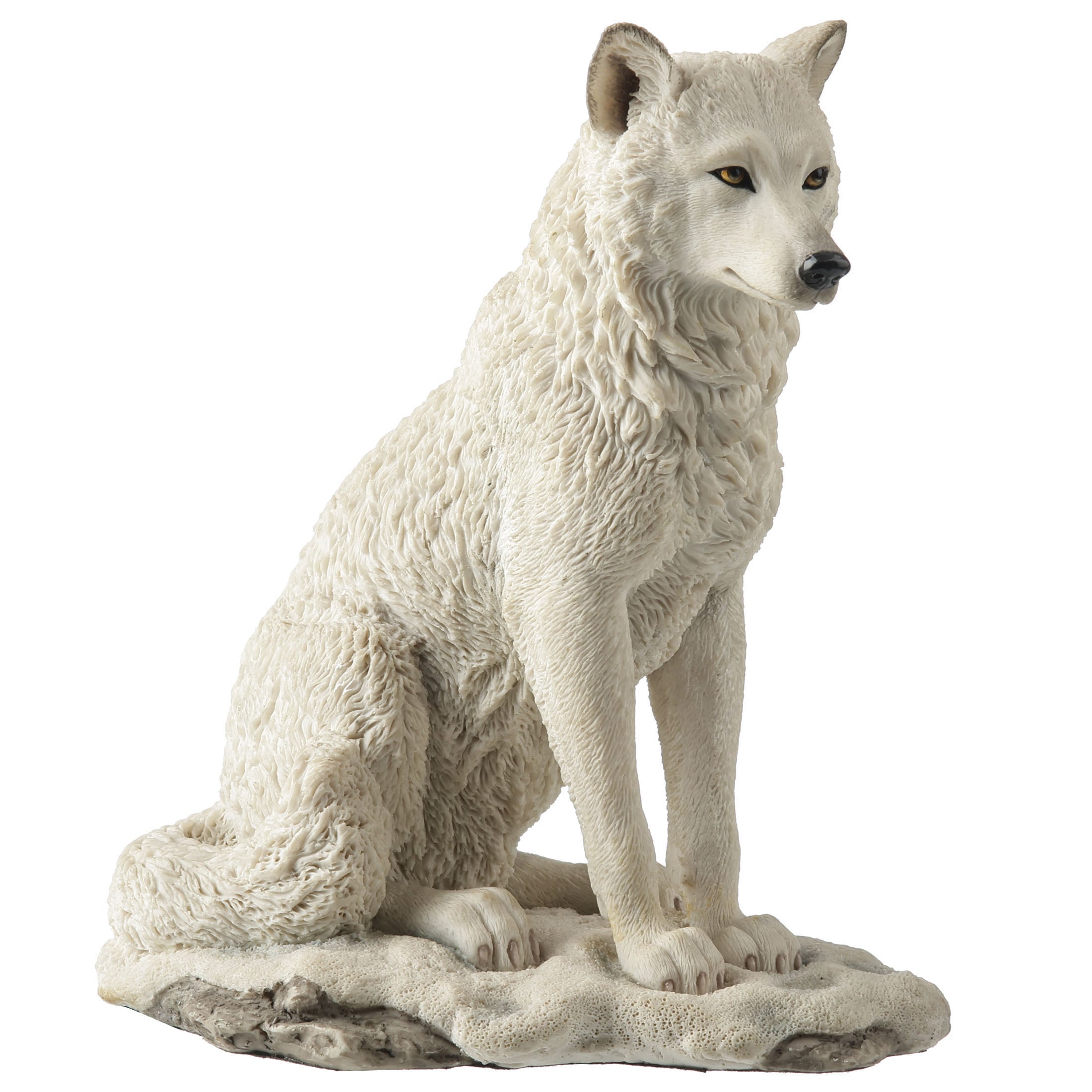 White Wolf Sitting In Snow