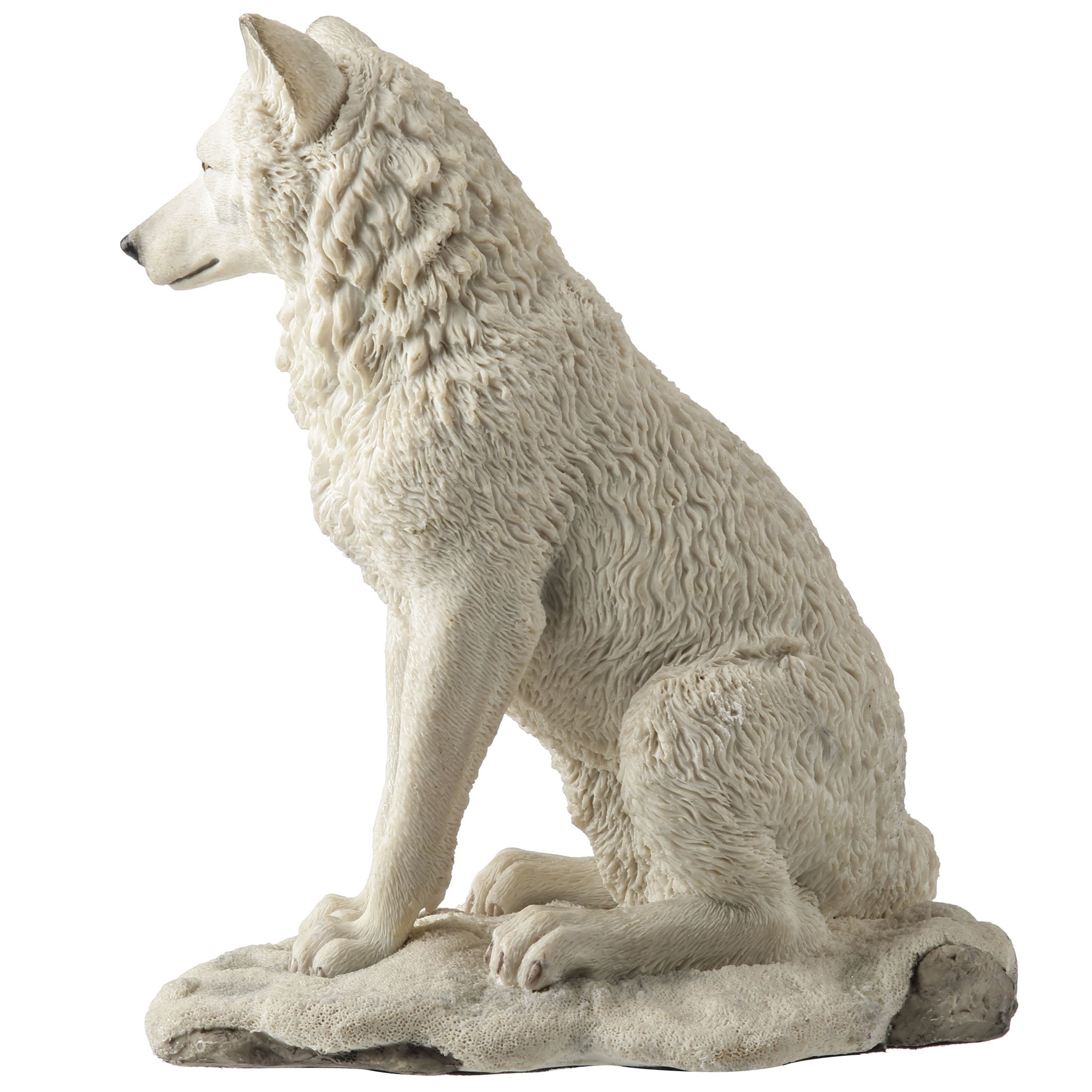 White Wolf Sitting In Snow