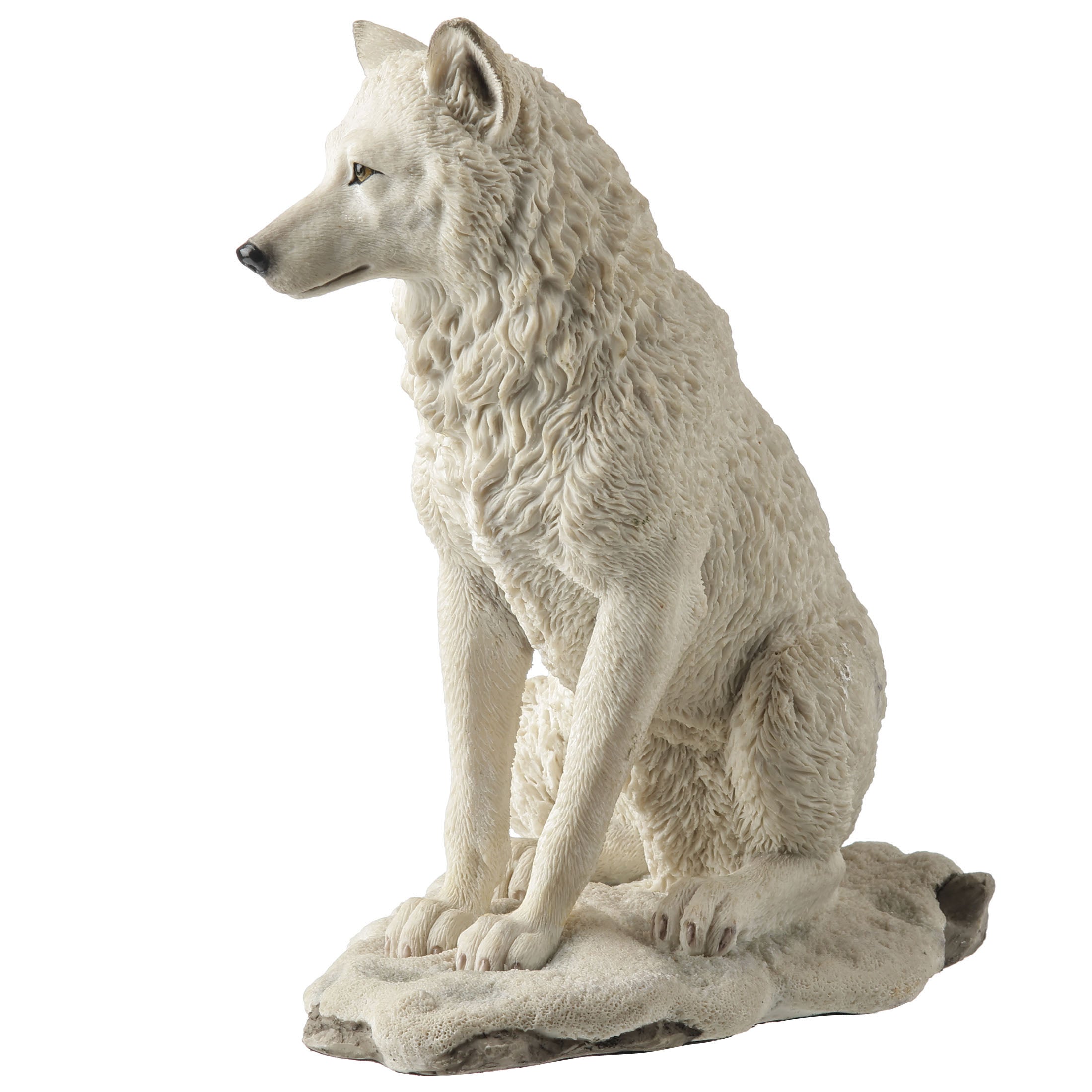 White Wolf Sitting In Snow