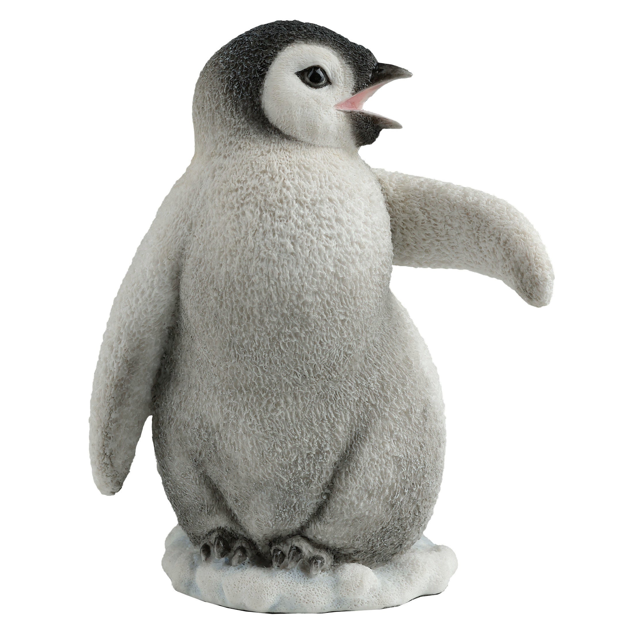 Baby Penguin Calling To The Left