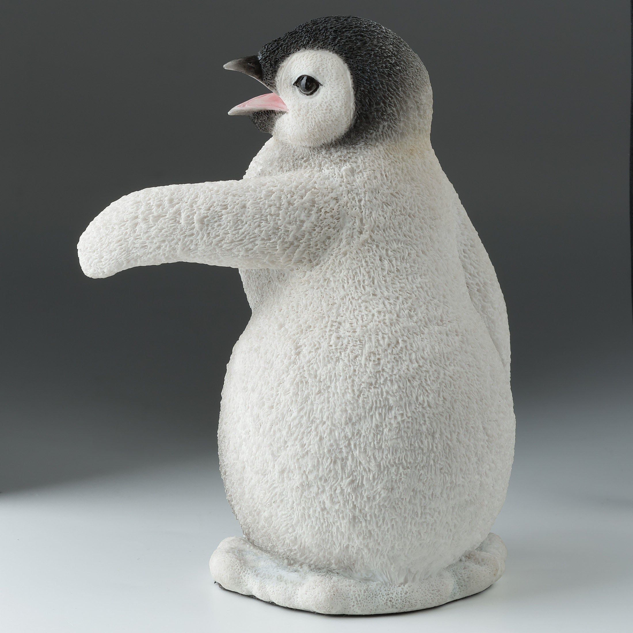 Baby Penguin Calling To The Left