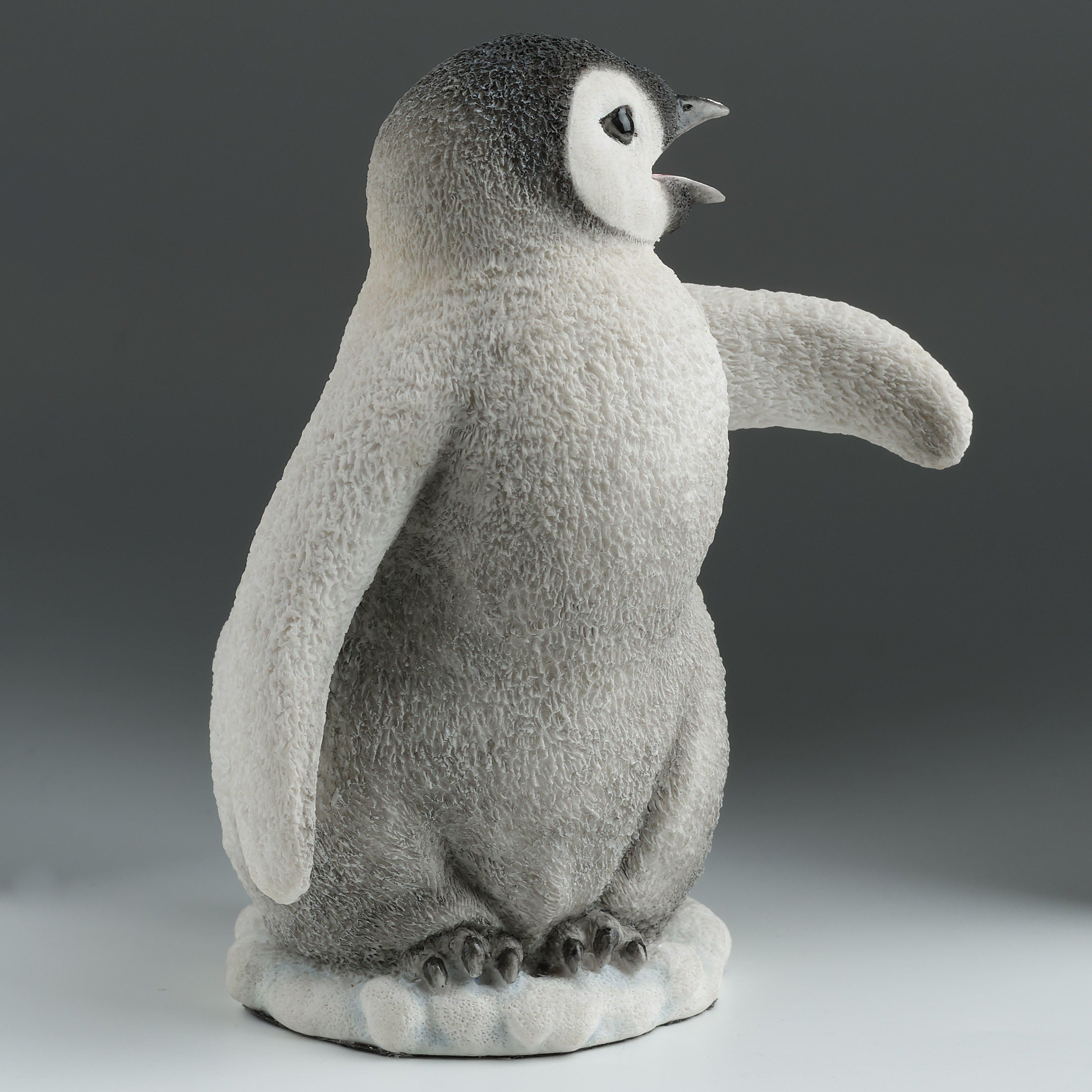 Baby Penguin Calling To The Left