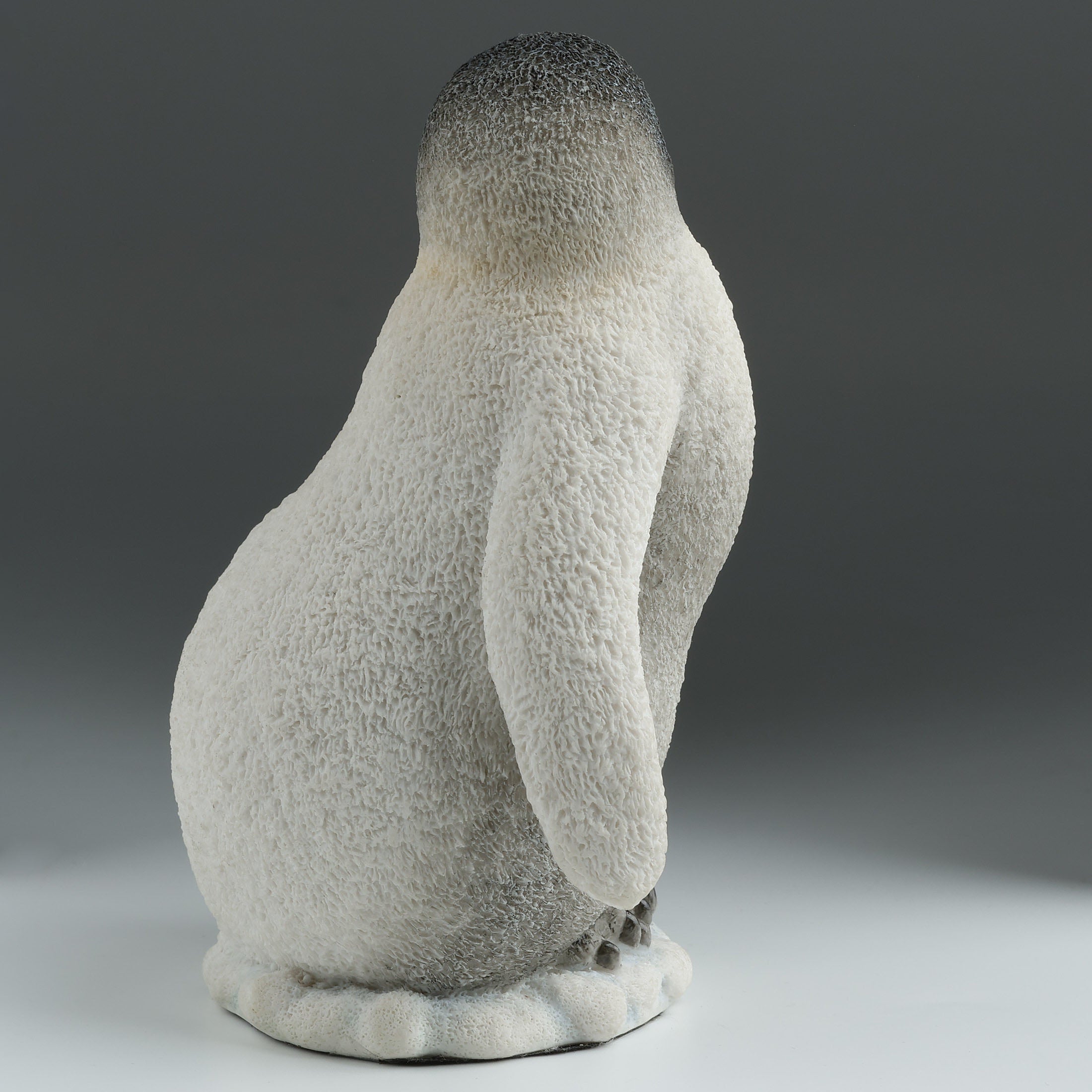 Baby Penguin Calling To The Left