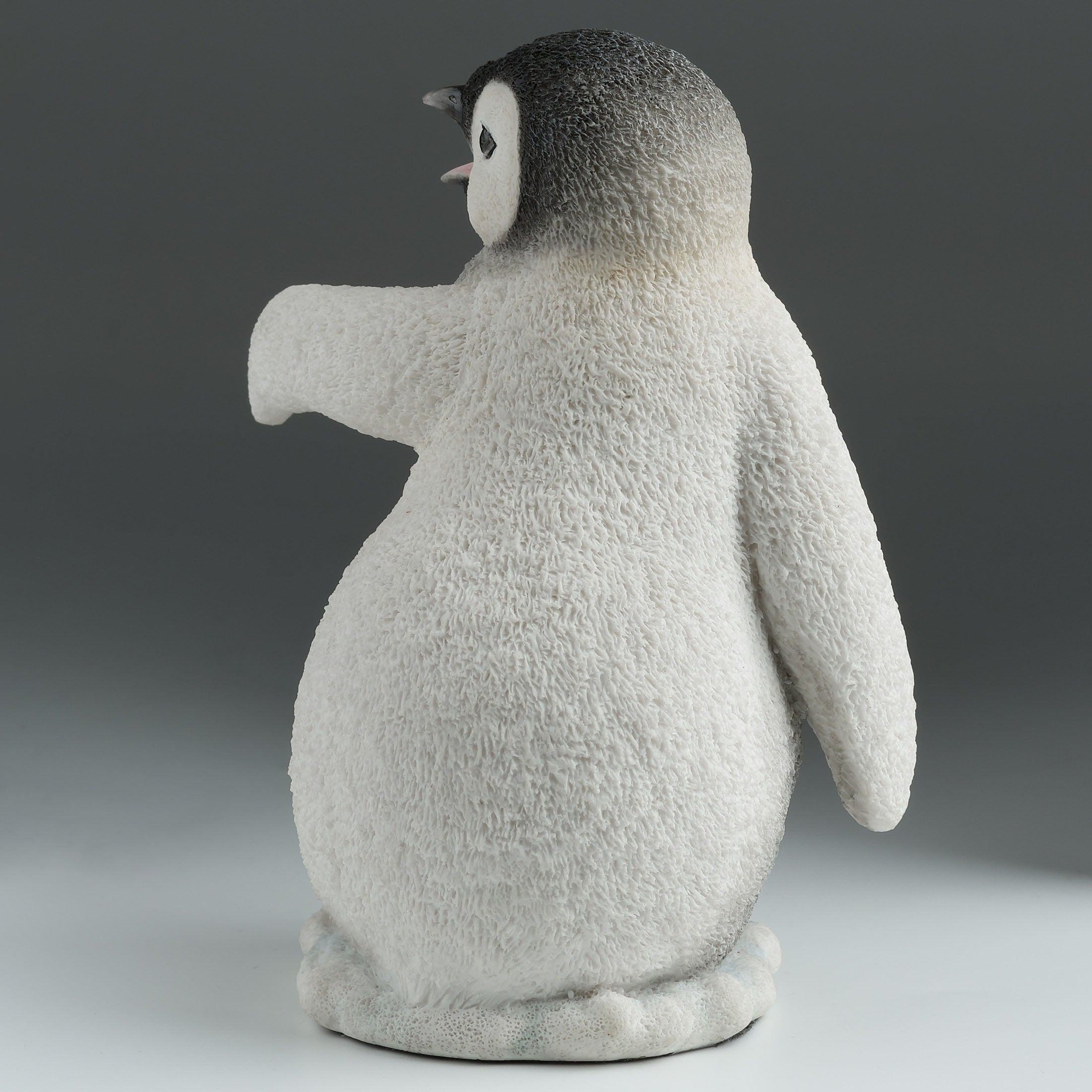 Baby Penguin Calling To The Left