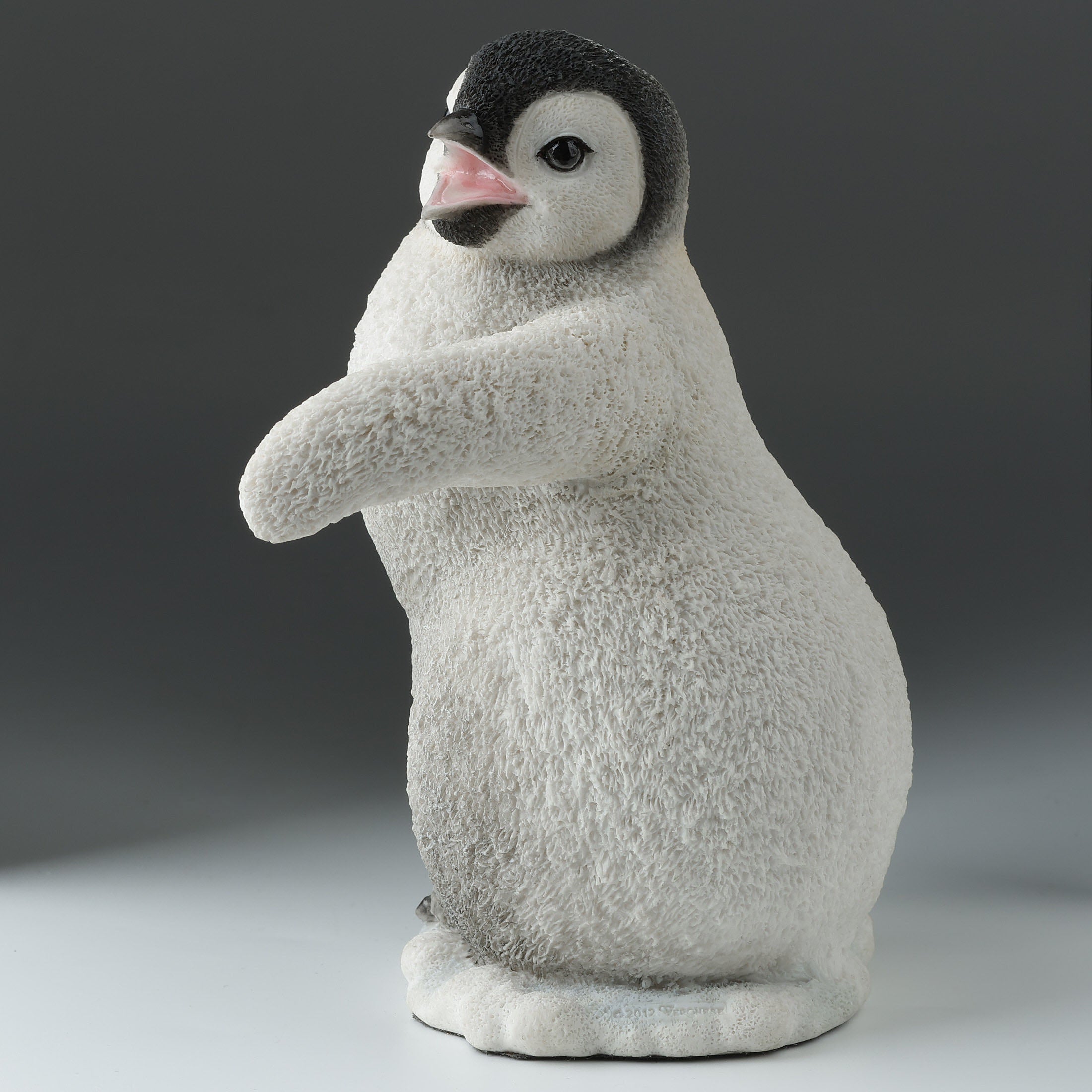 Baby Penguin Calling To The Left