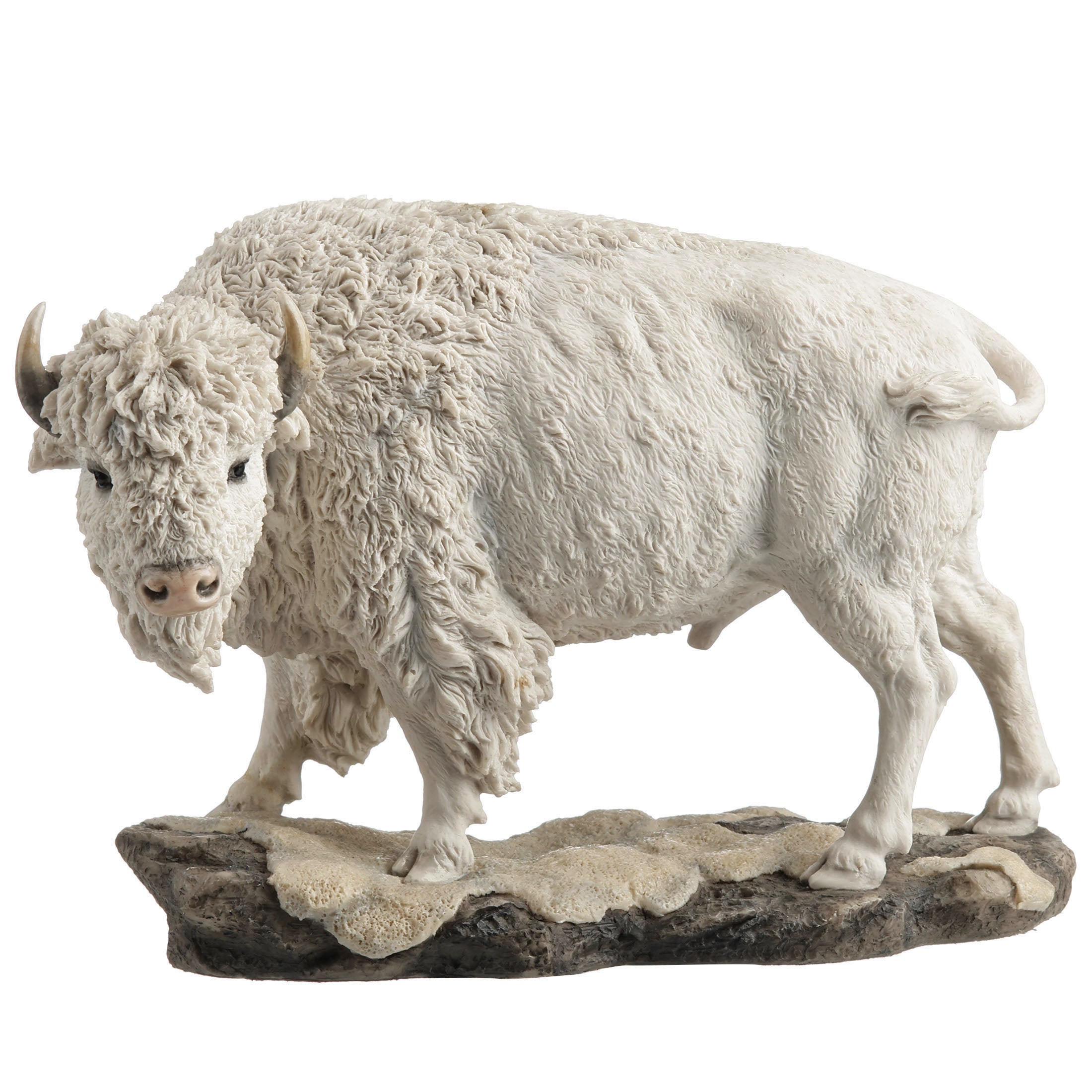 White Bison