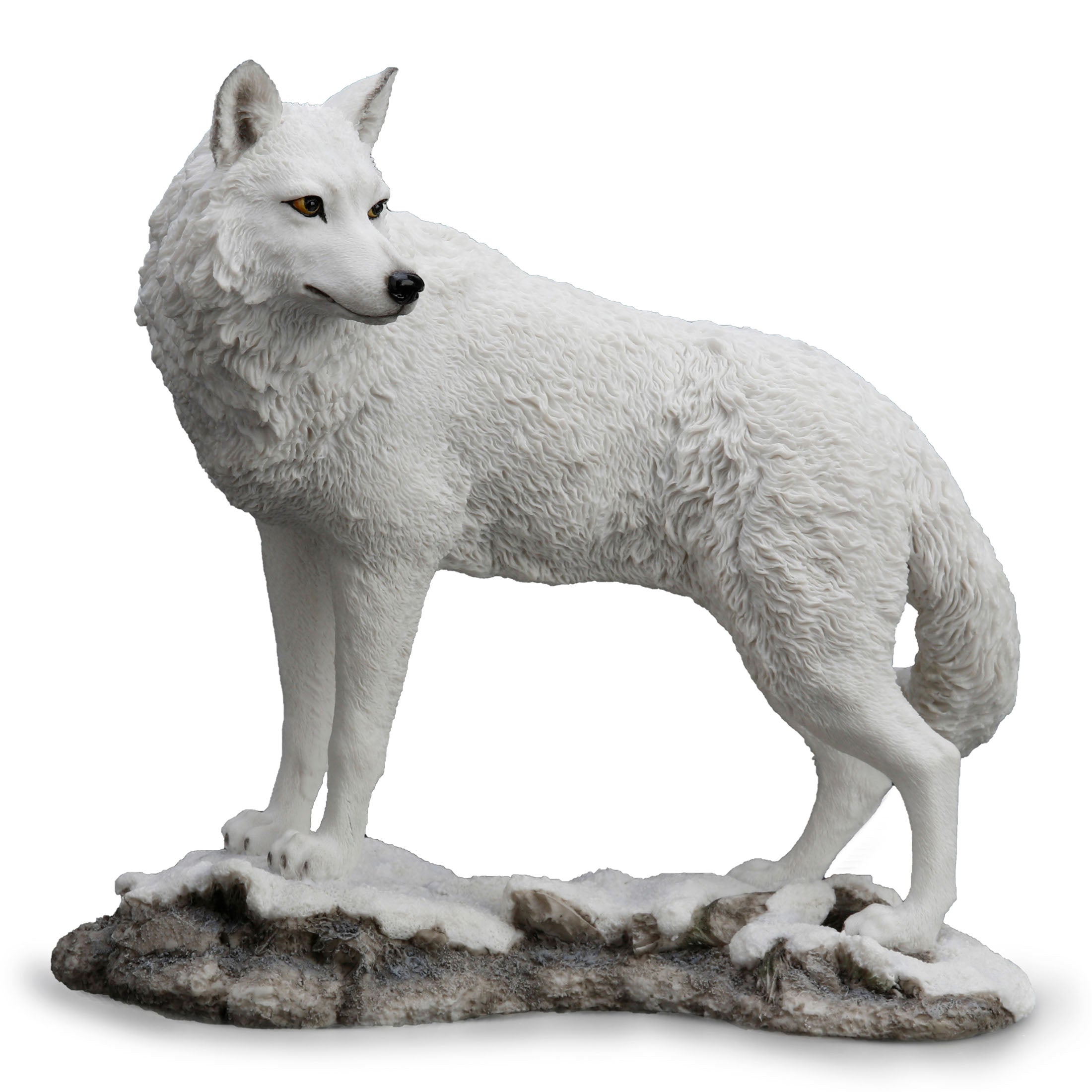 White Wolf On Snowy Ground Looking Back