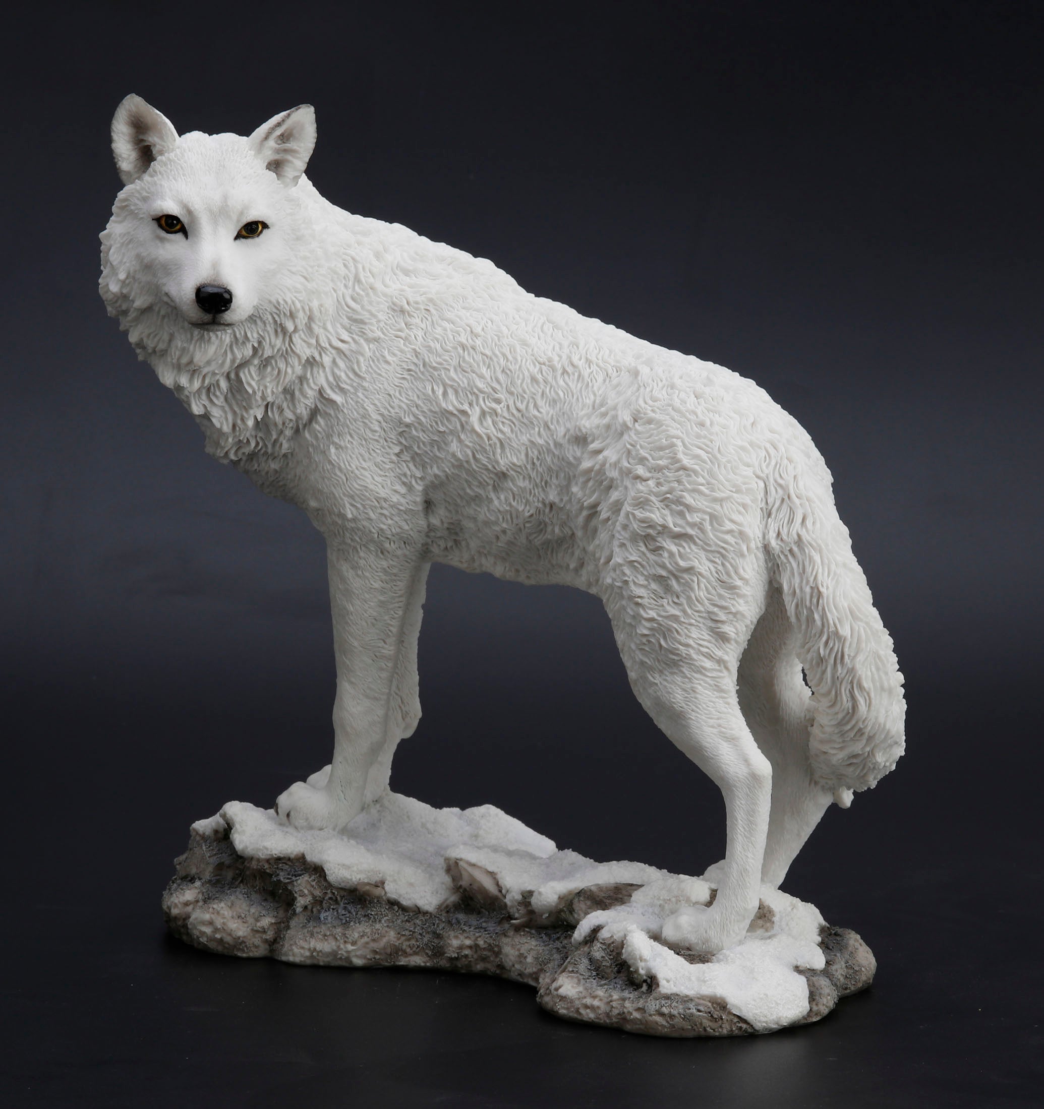 White Wolf On Snowy Ground Looking Back