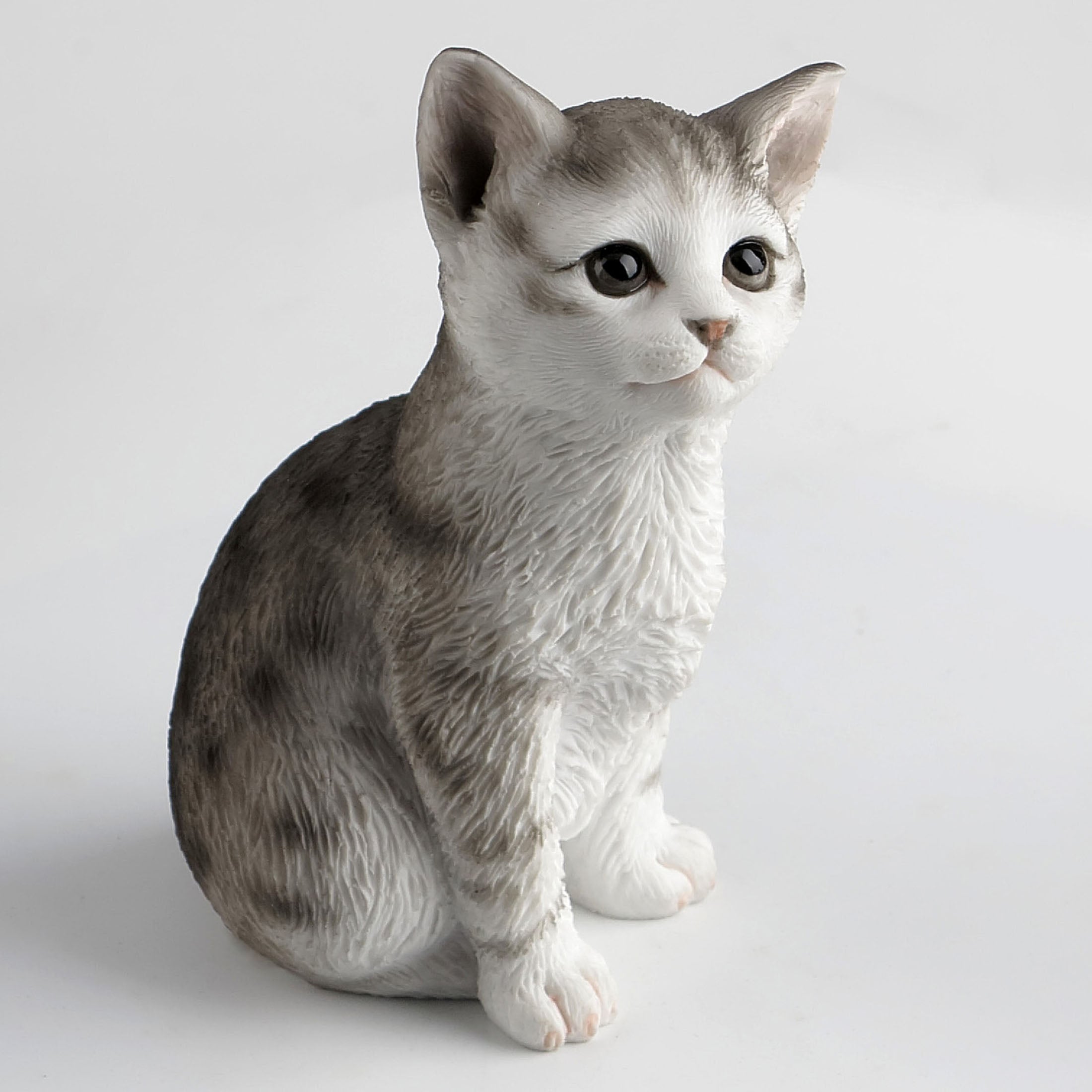 Sitting Tabby Kitten
