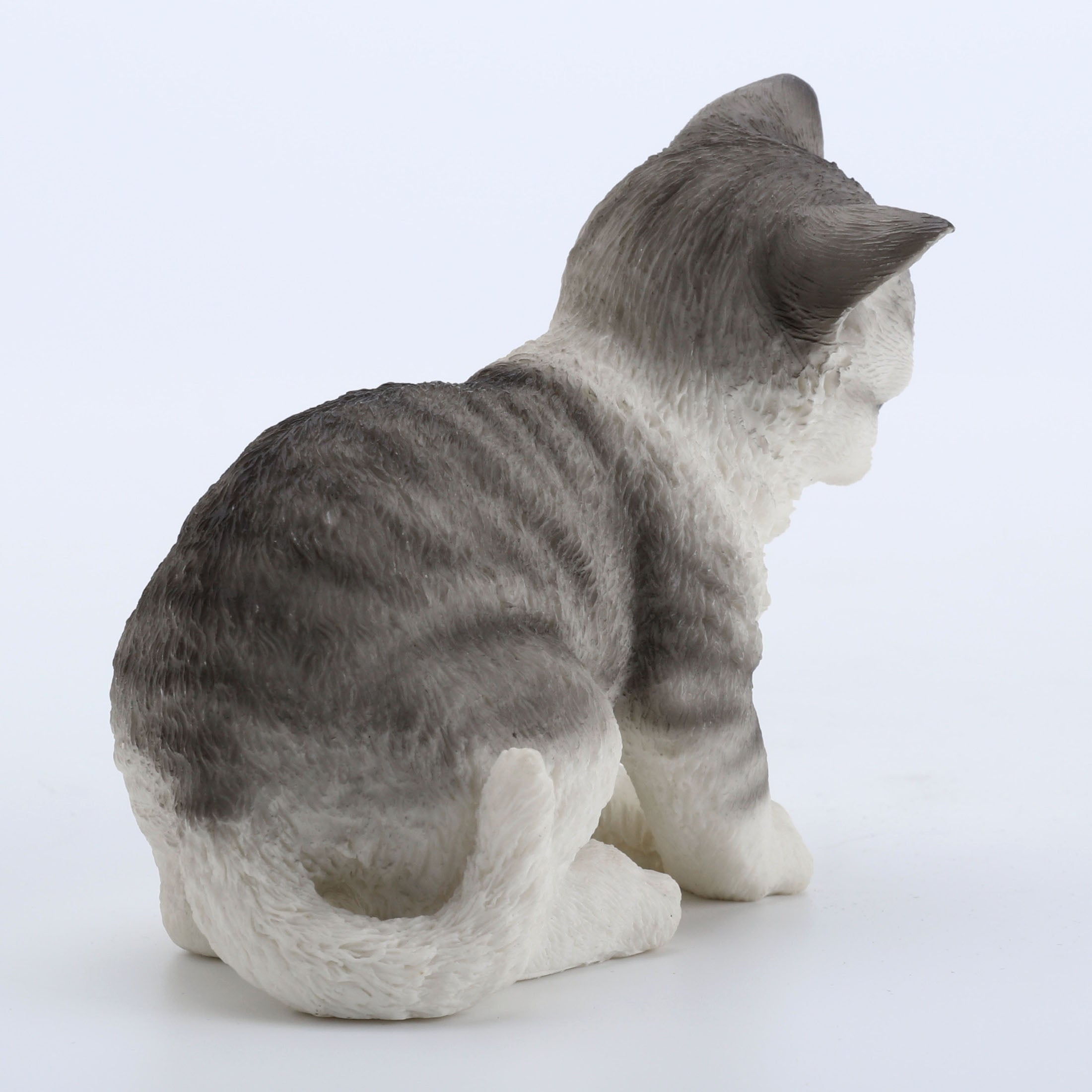 Tabby Kitten Sitting And Looking Down