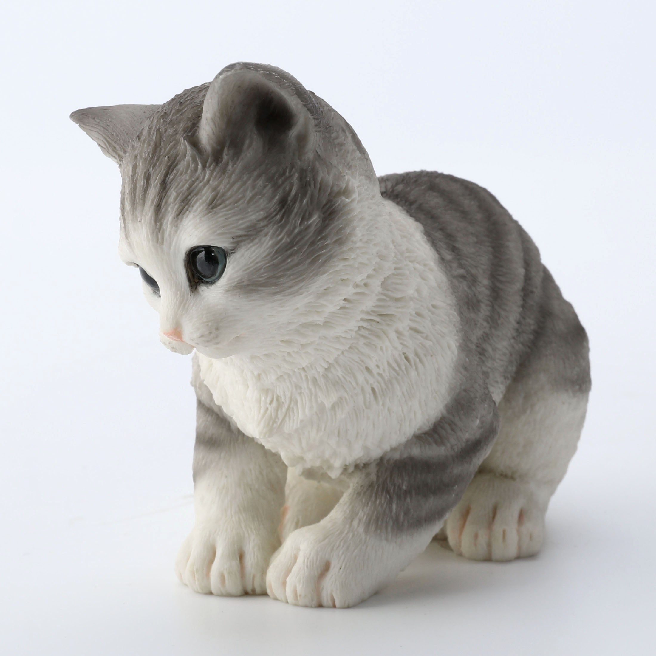 Tabby Kitten Sitting And Looking Down