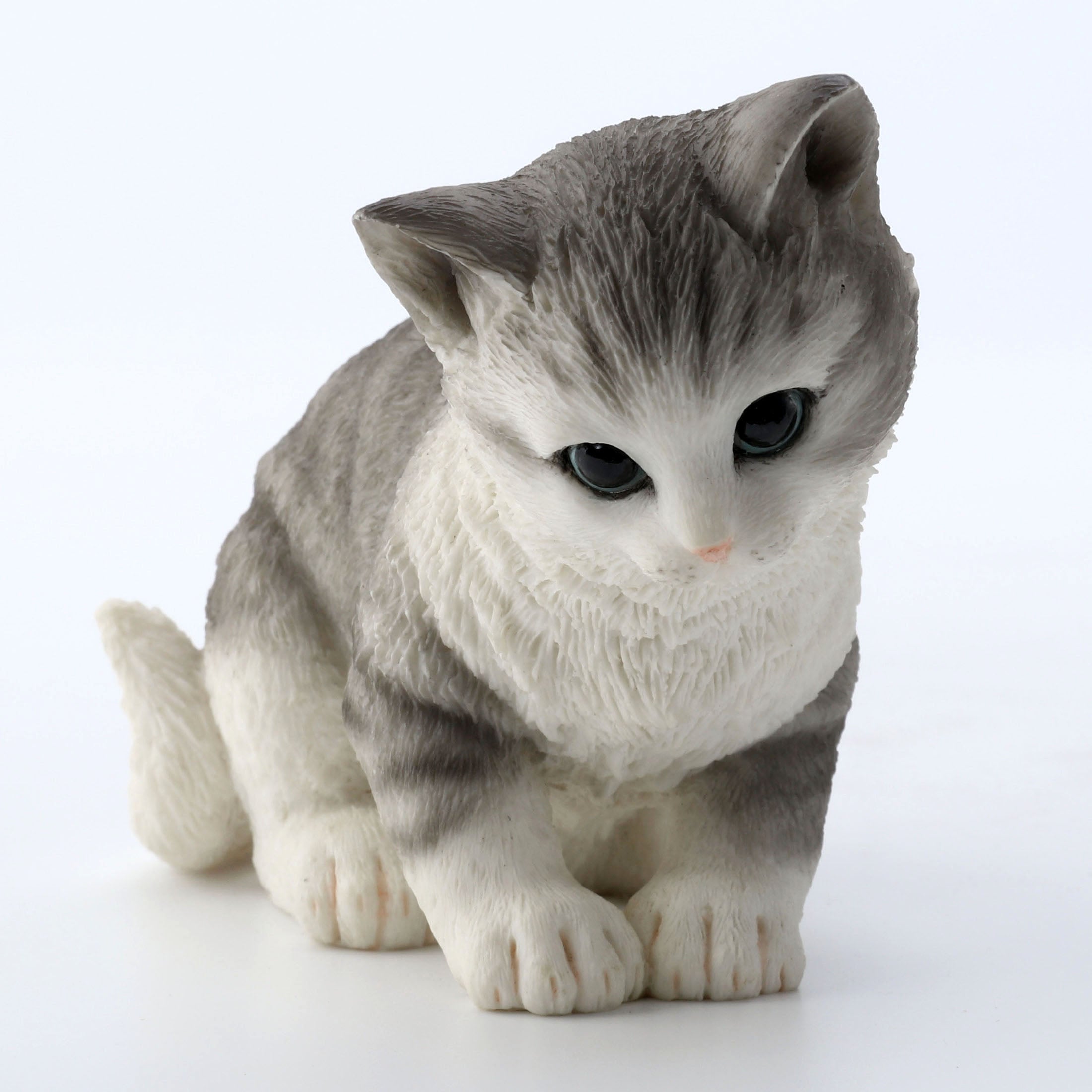 Tabby Kitten Sitting And Looking Down