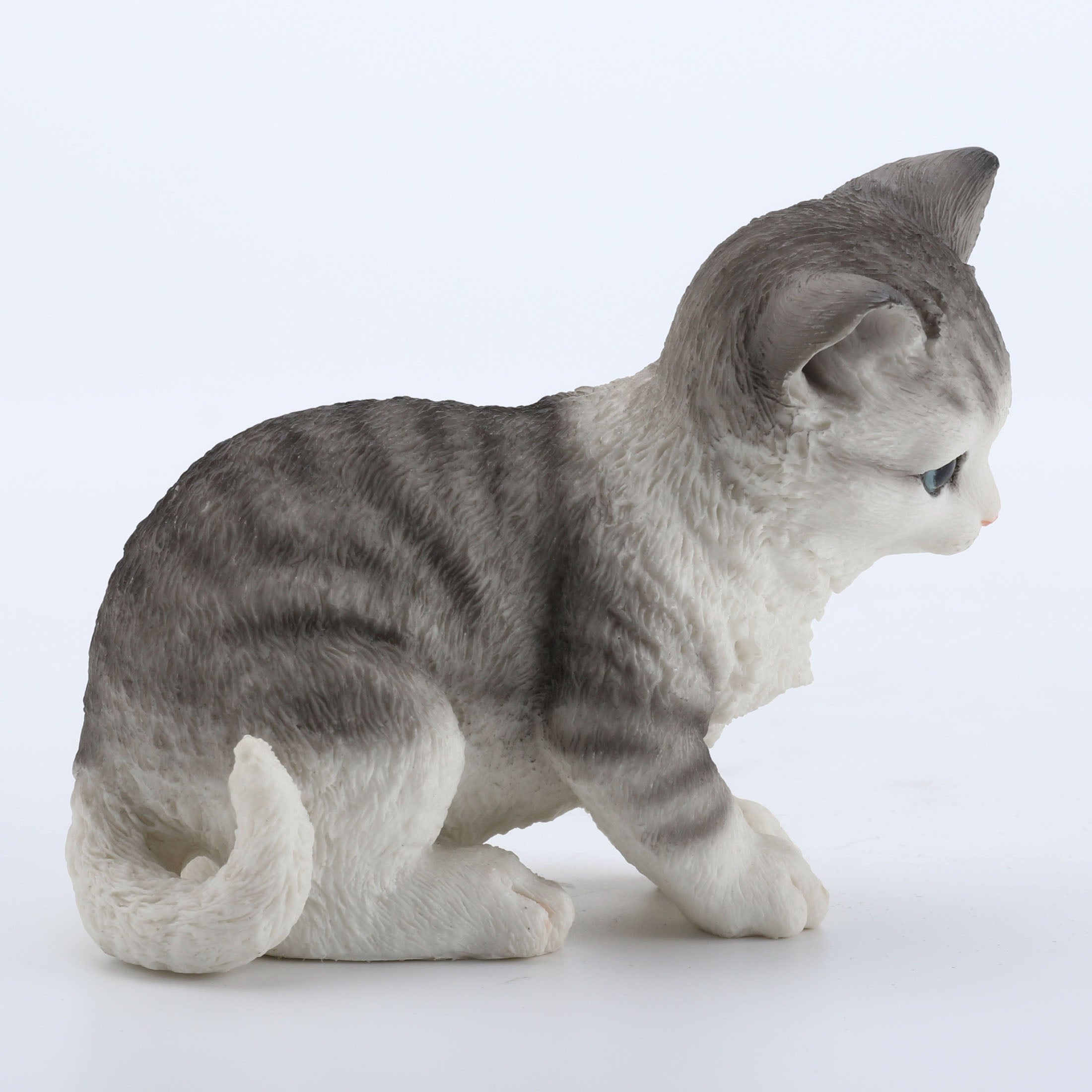 Tabby Kitten Sitting And Looking Down