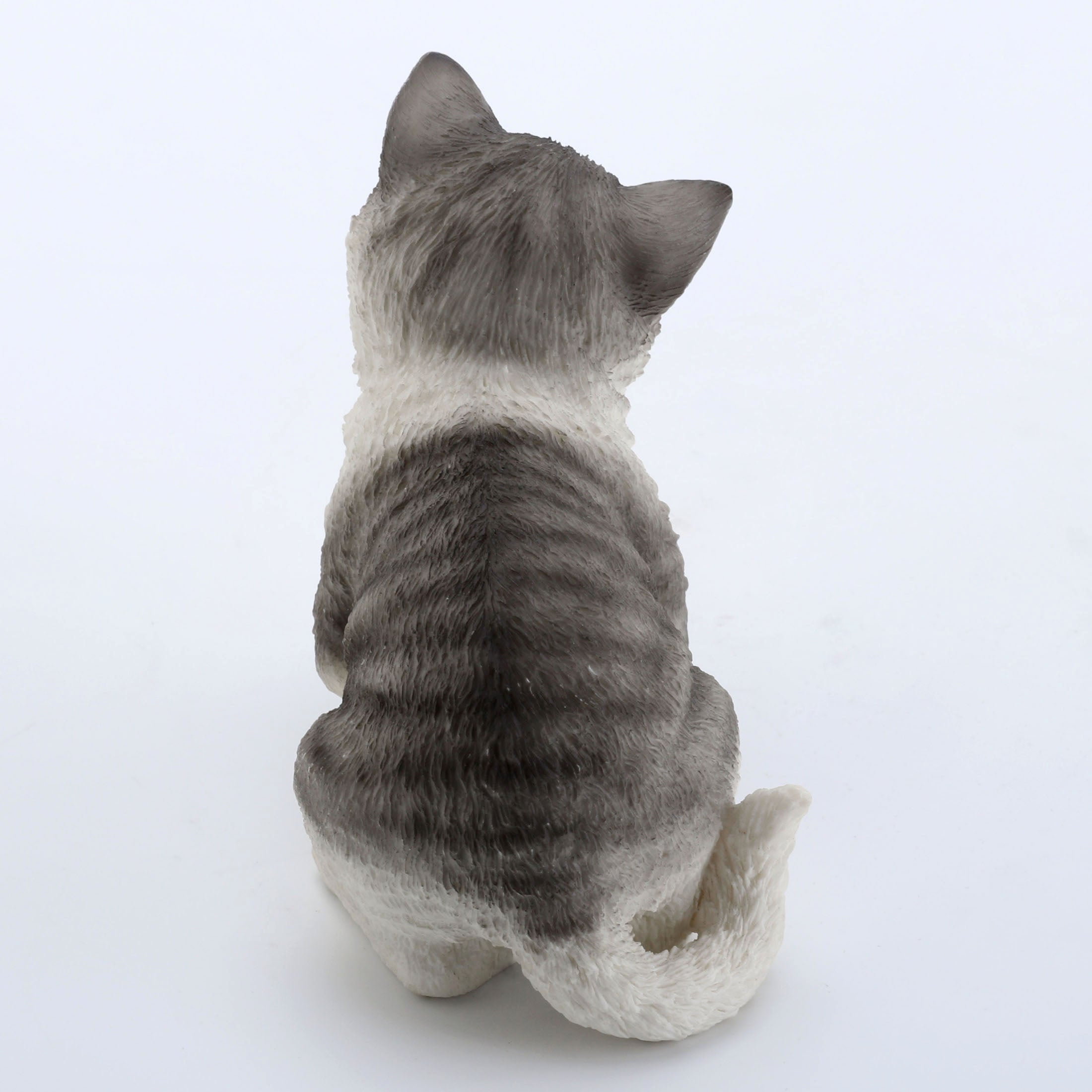 Tabby Kitten Sitting And Looking Down