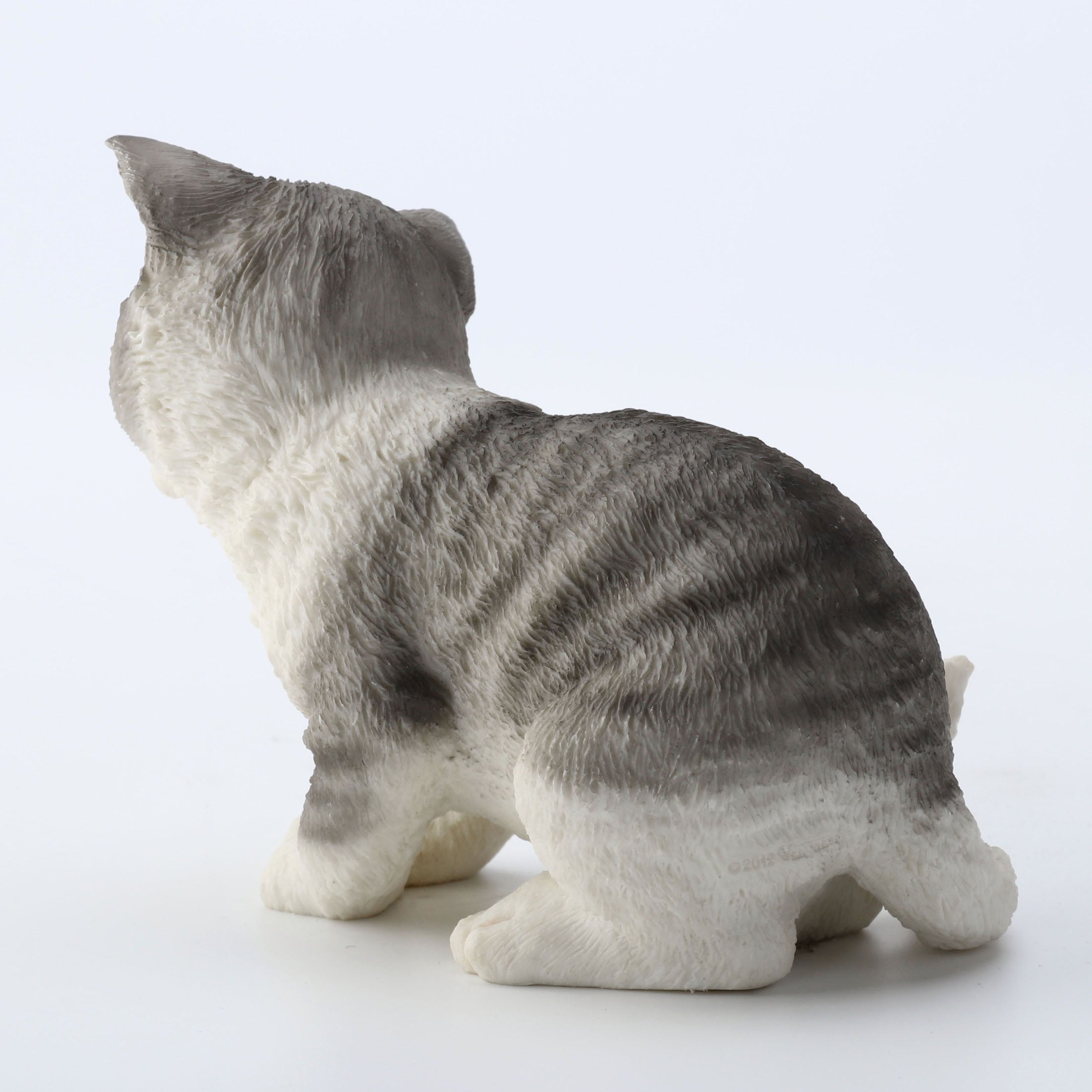 Tabby Kitten Sitting And Looking Down