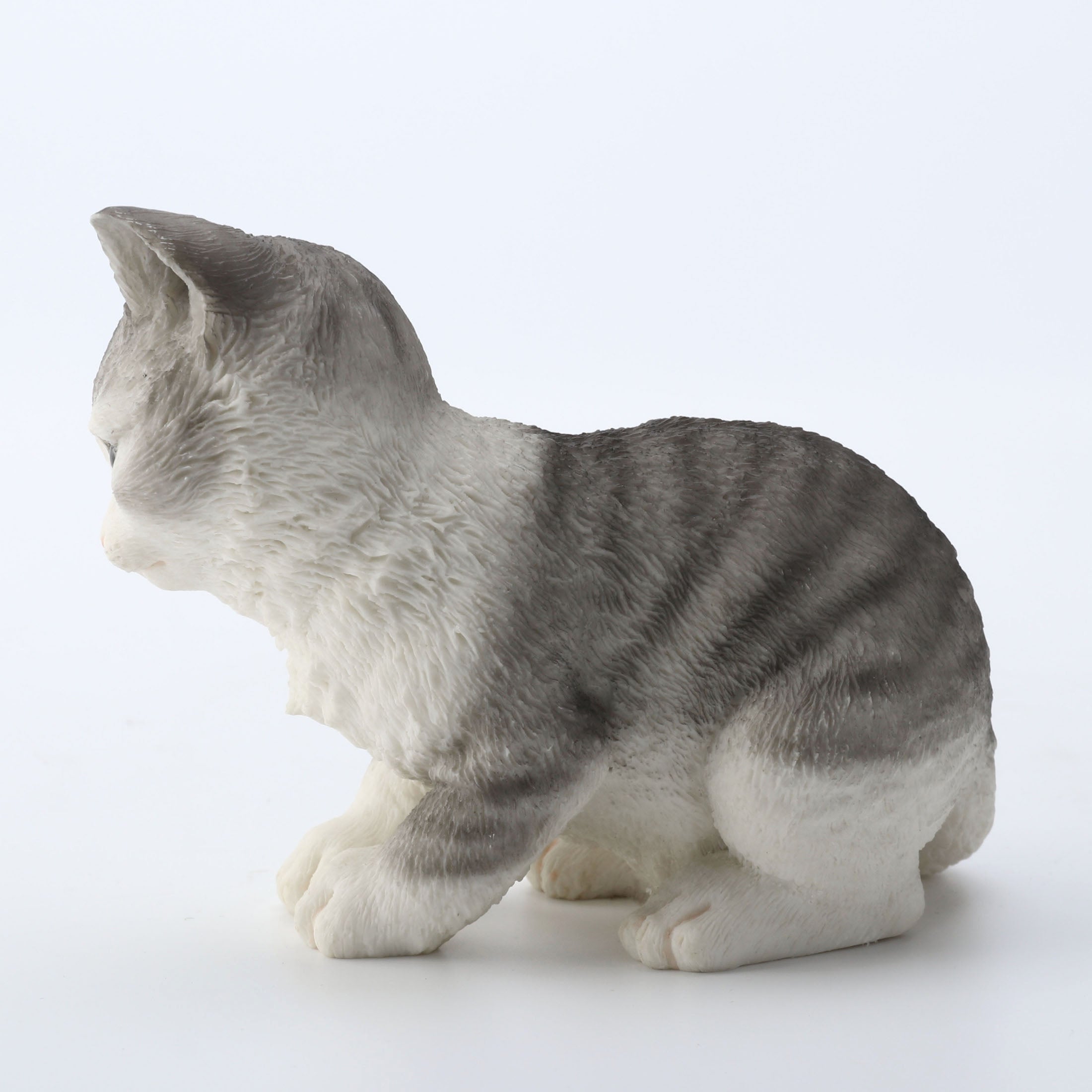 Tabby Kitten Sitting And Looking Down