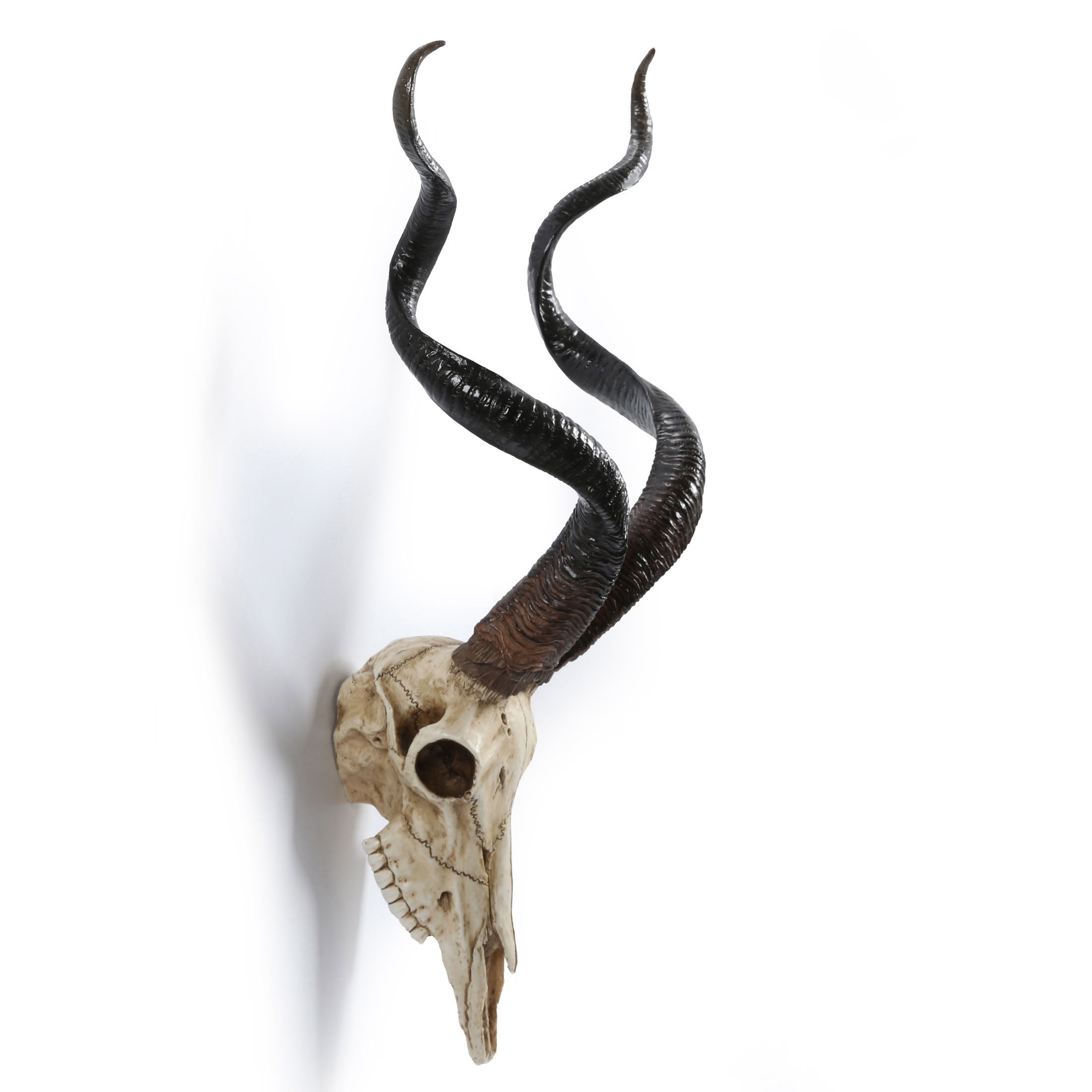 Kudu Skull Wall Plaque (Color)
