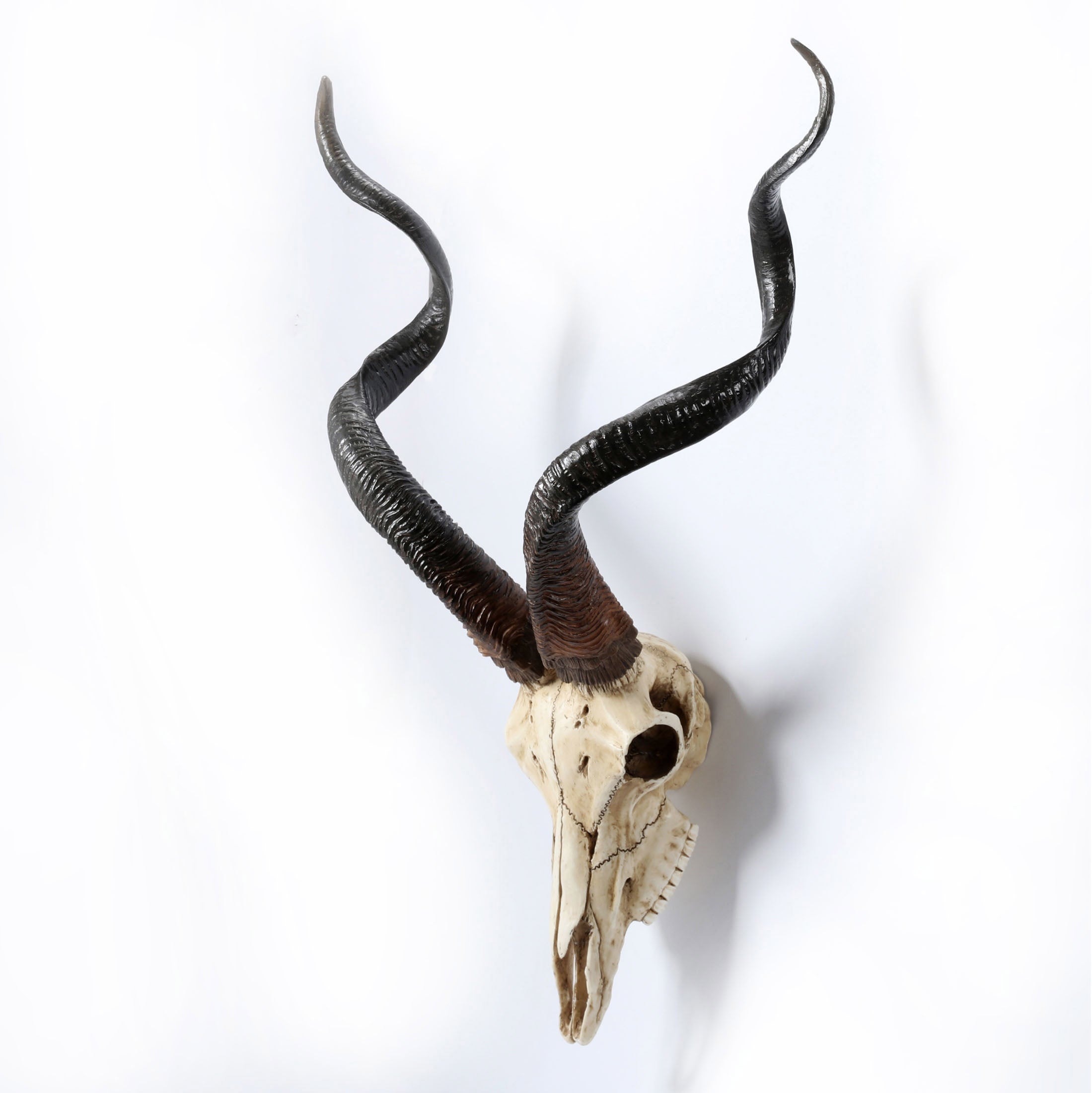 Kudu Skull Wall Plaque (Color)