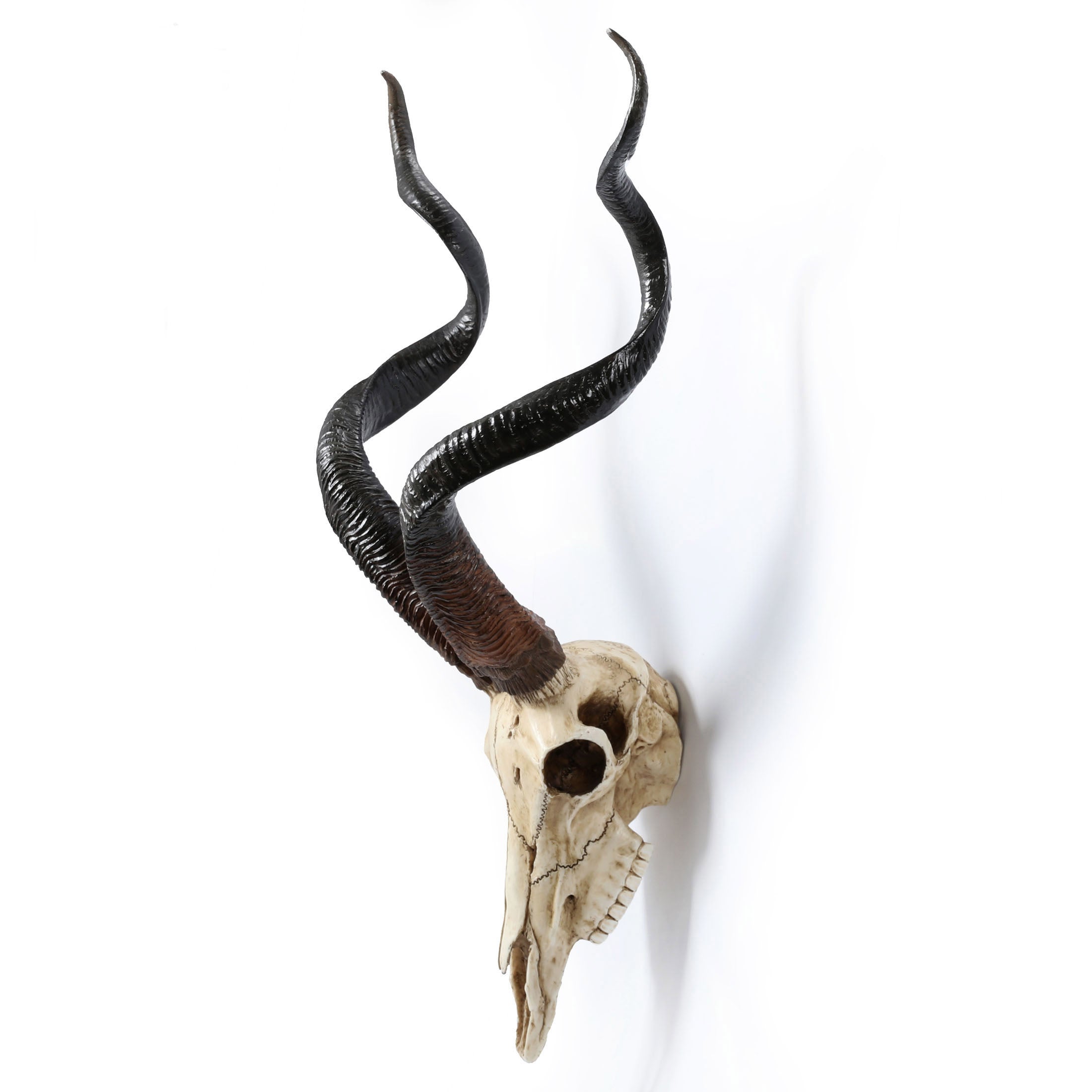 Kudu Skull Wall Plaque (Color)