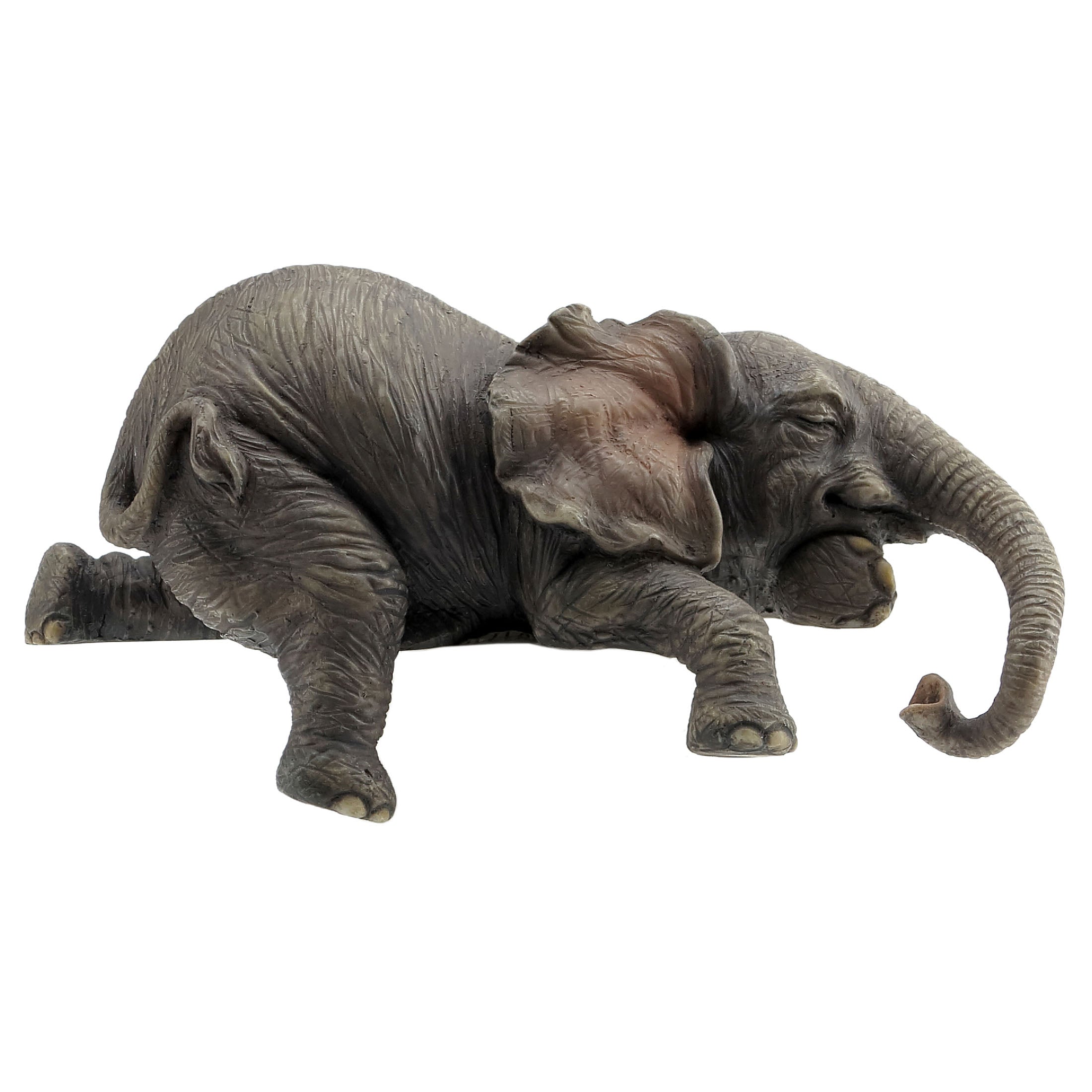 Lounging Baby Elephant