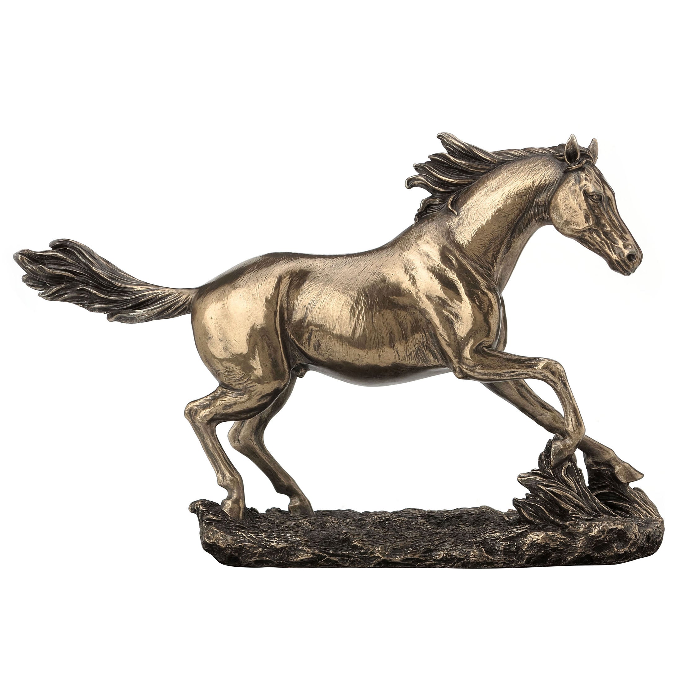 Horse Cantering On The Grassland(Mbz)