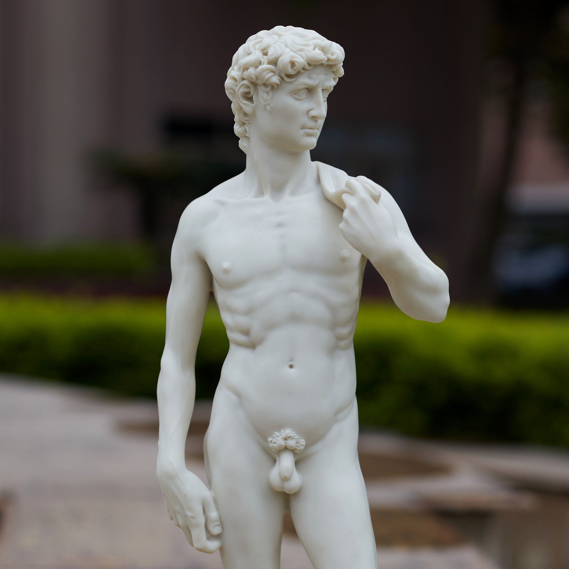 David
