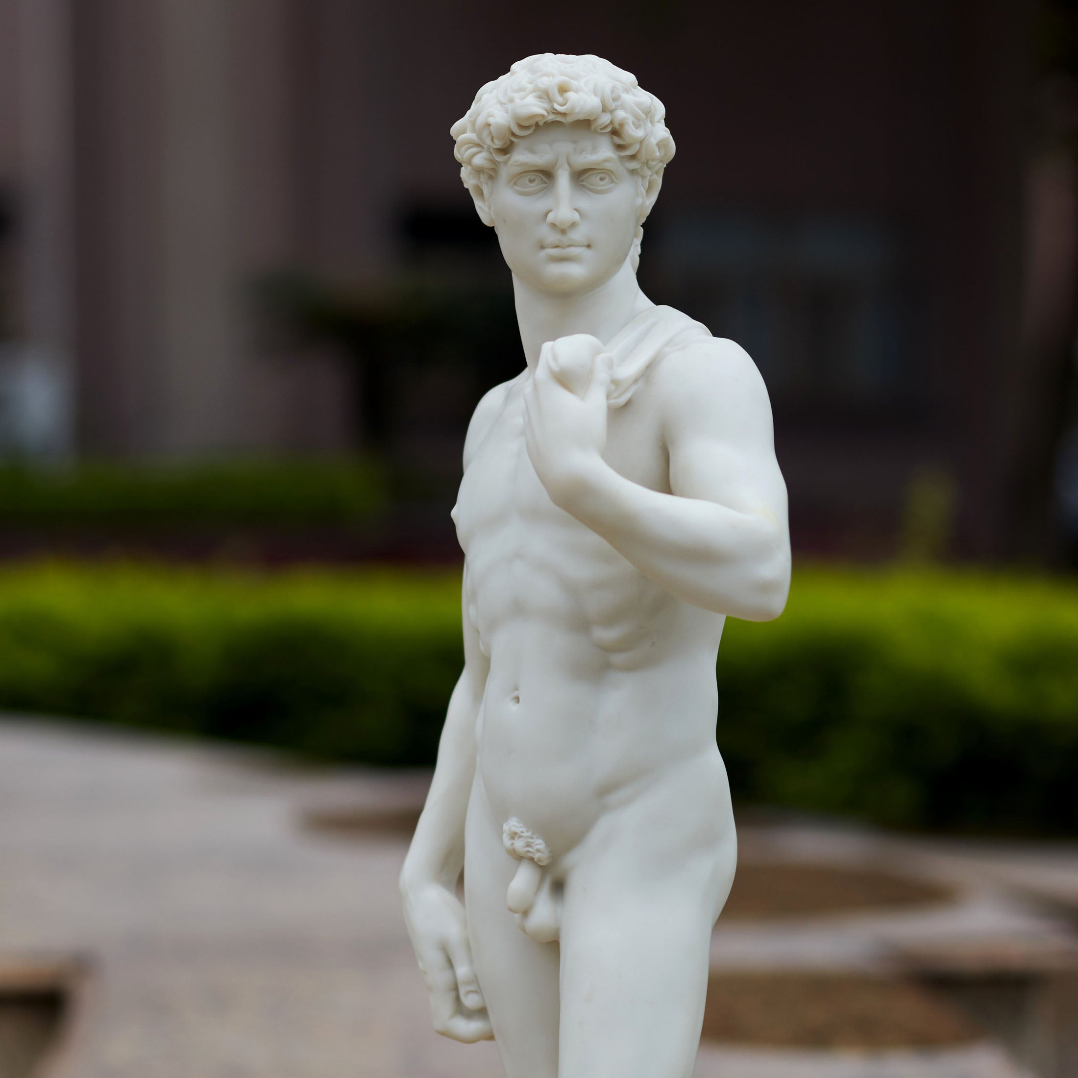 David