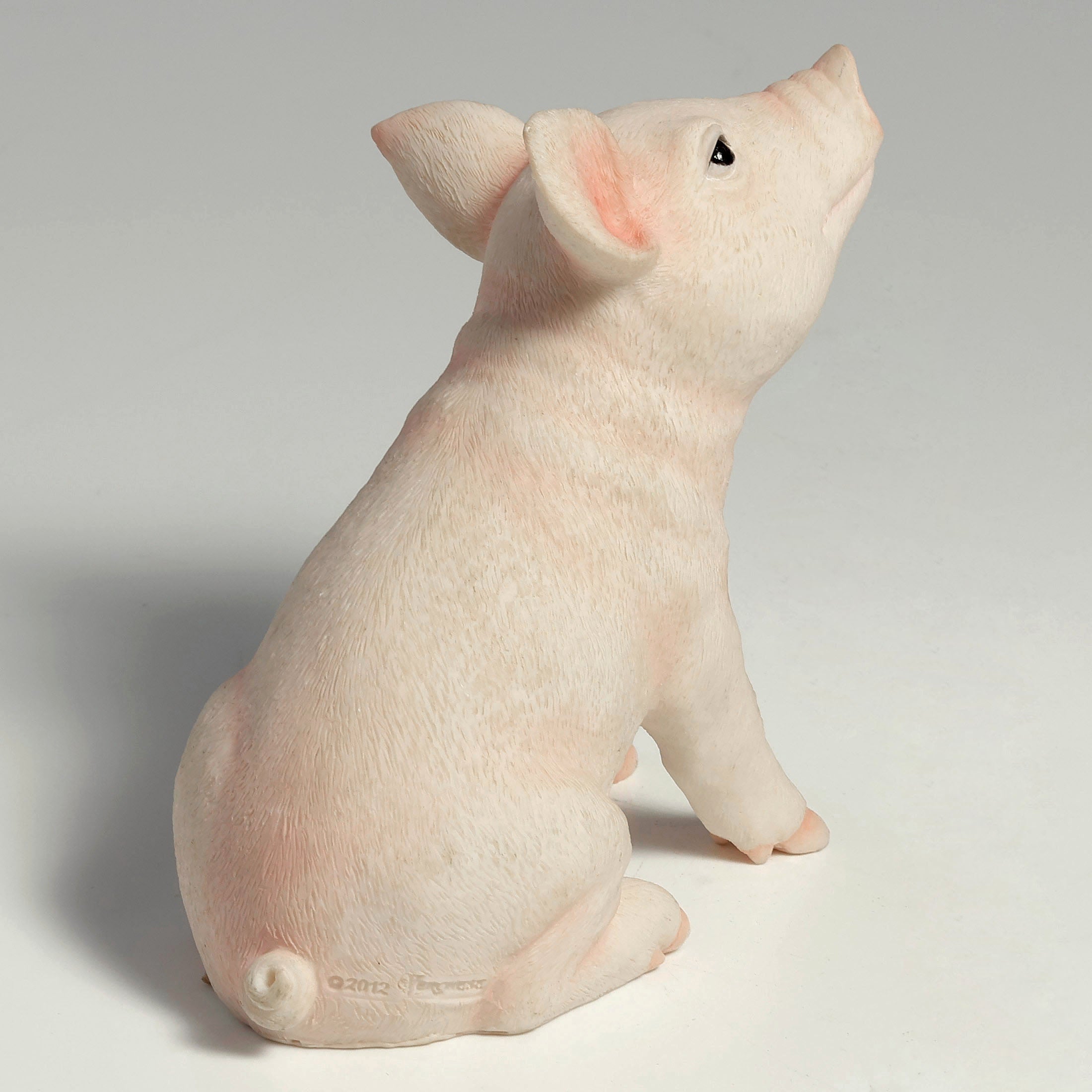 Baby Pig
