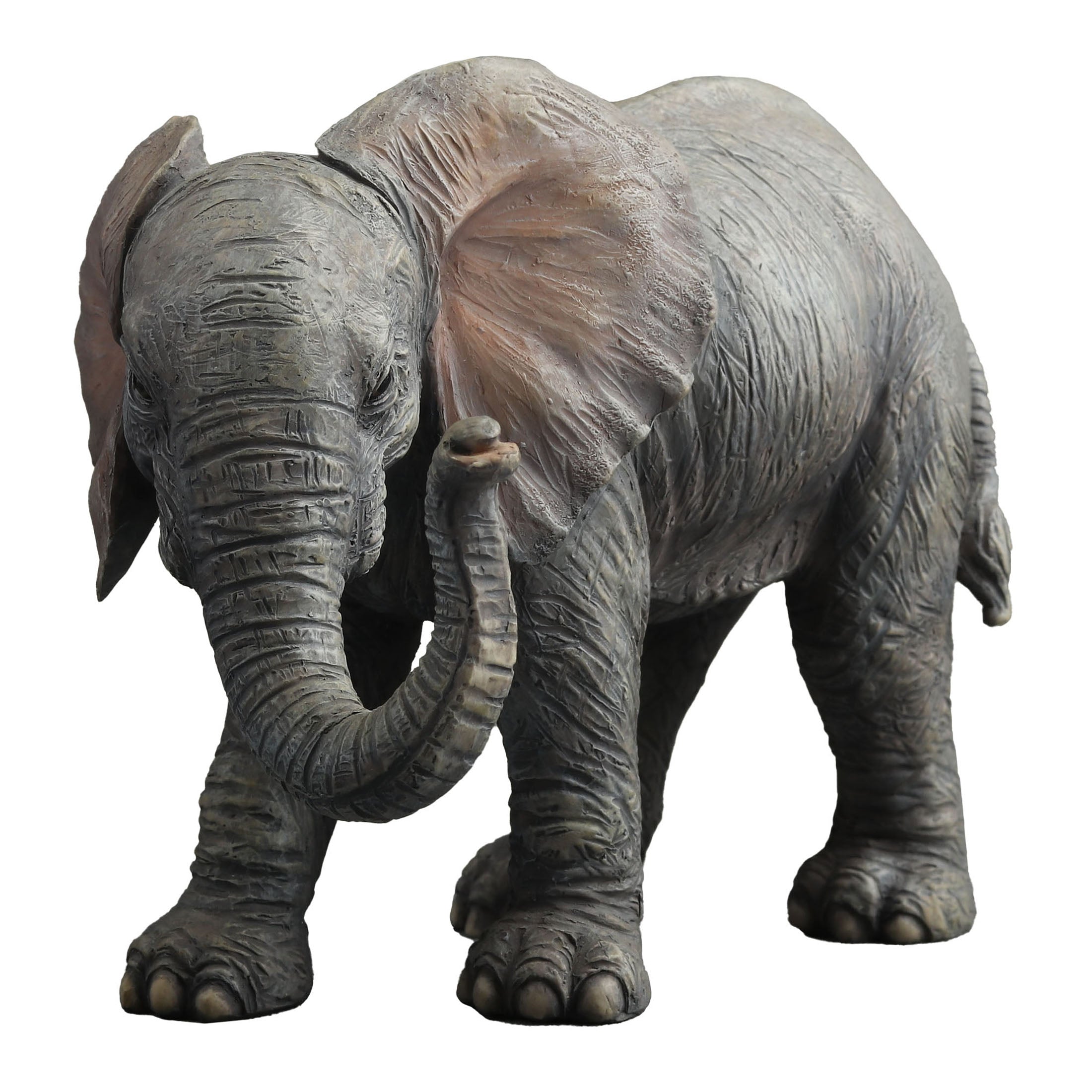 Baby Elephant