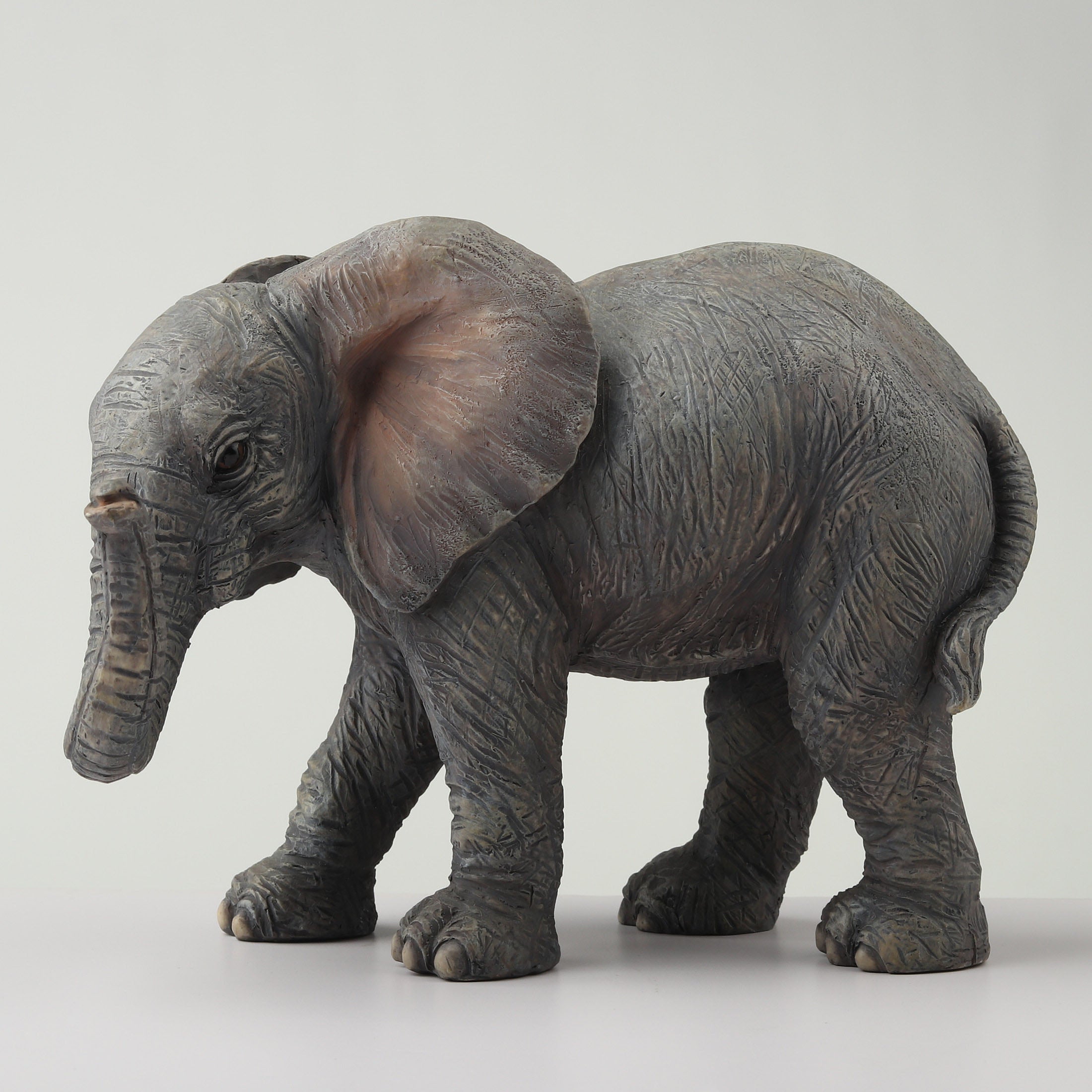Baby Elephant