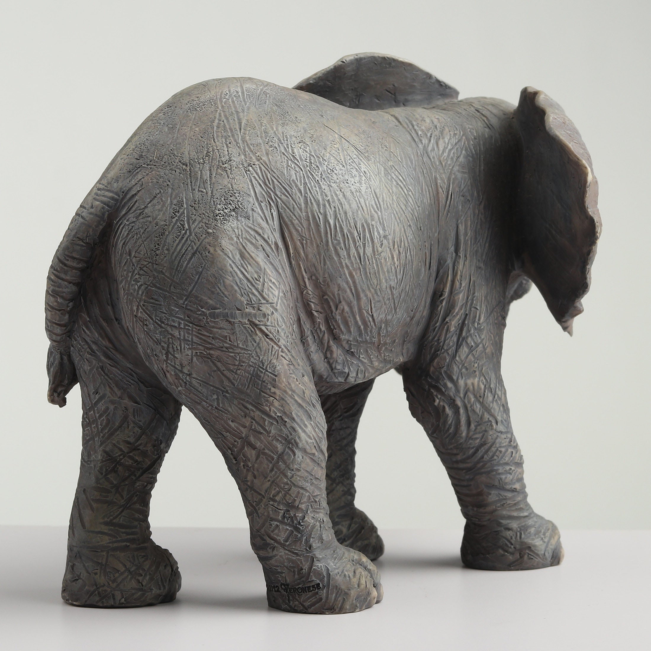 Baby Elephant