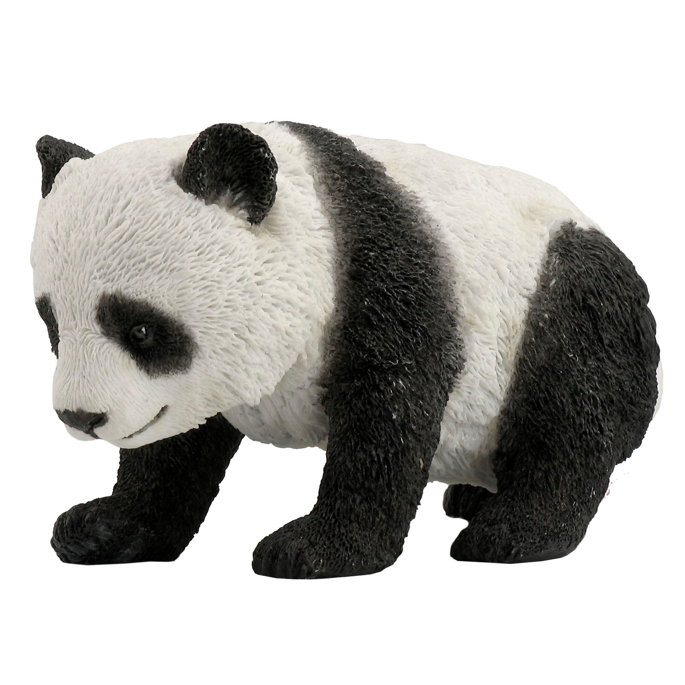 Panda Cub Walking