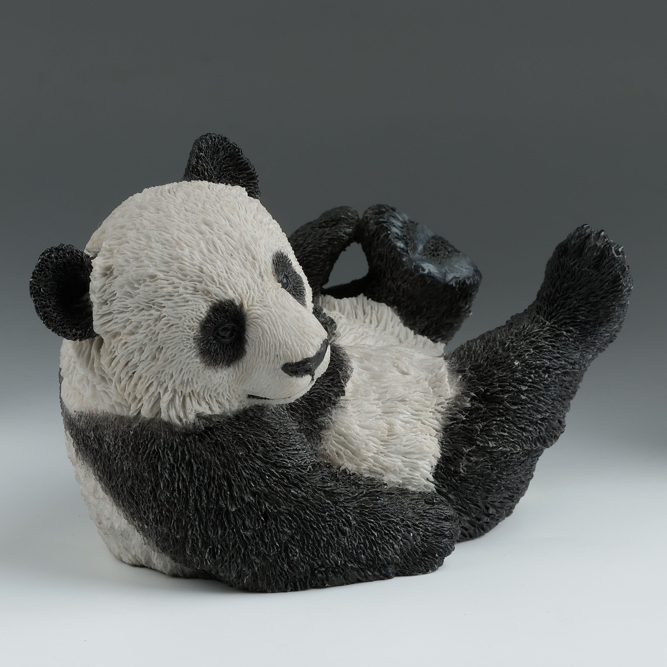 Panda Cub On His Back