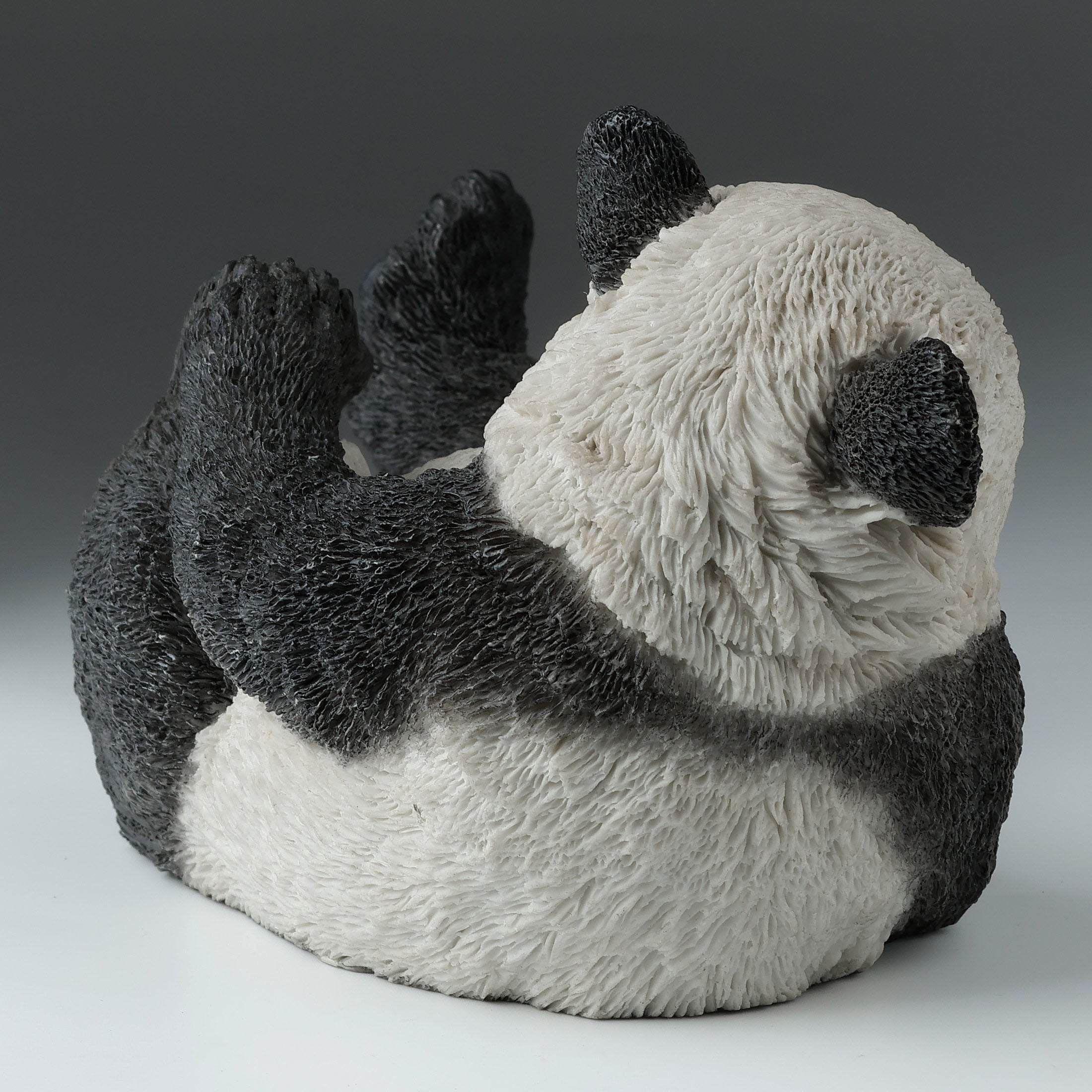 Panda Cub On His Back