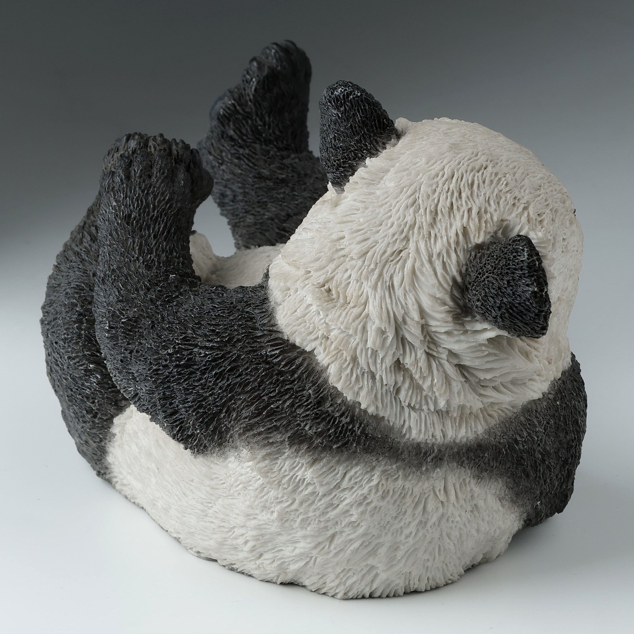 Panda Cub On His Back