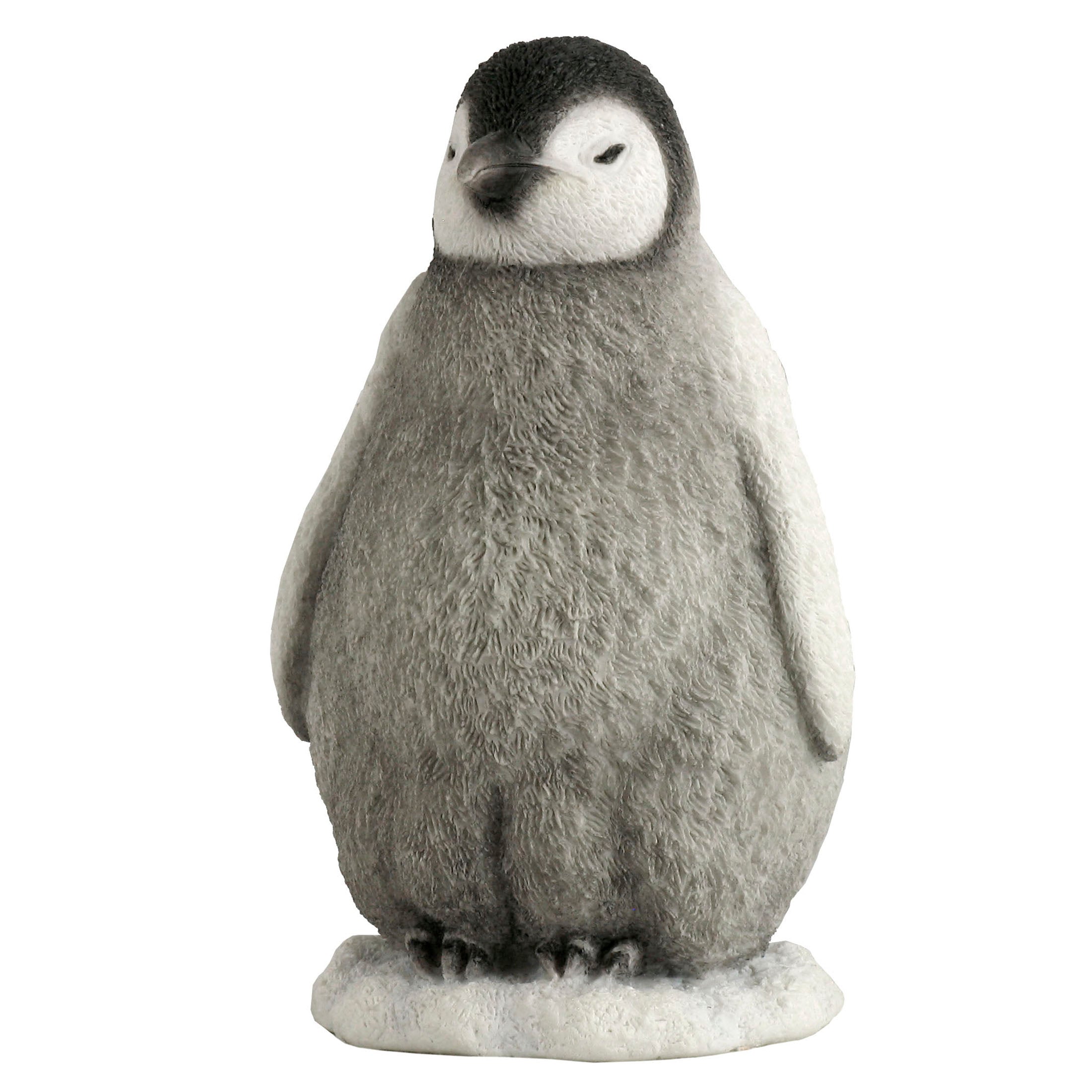Baby Penguin