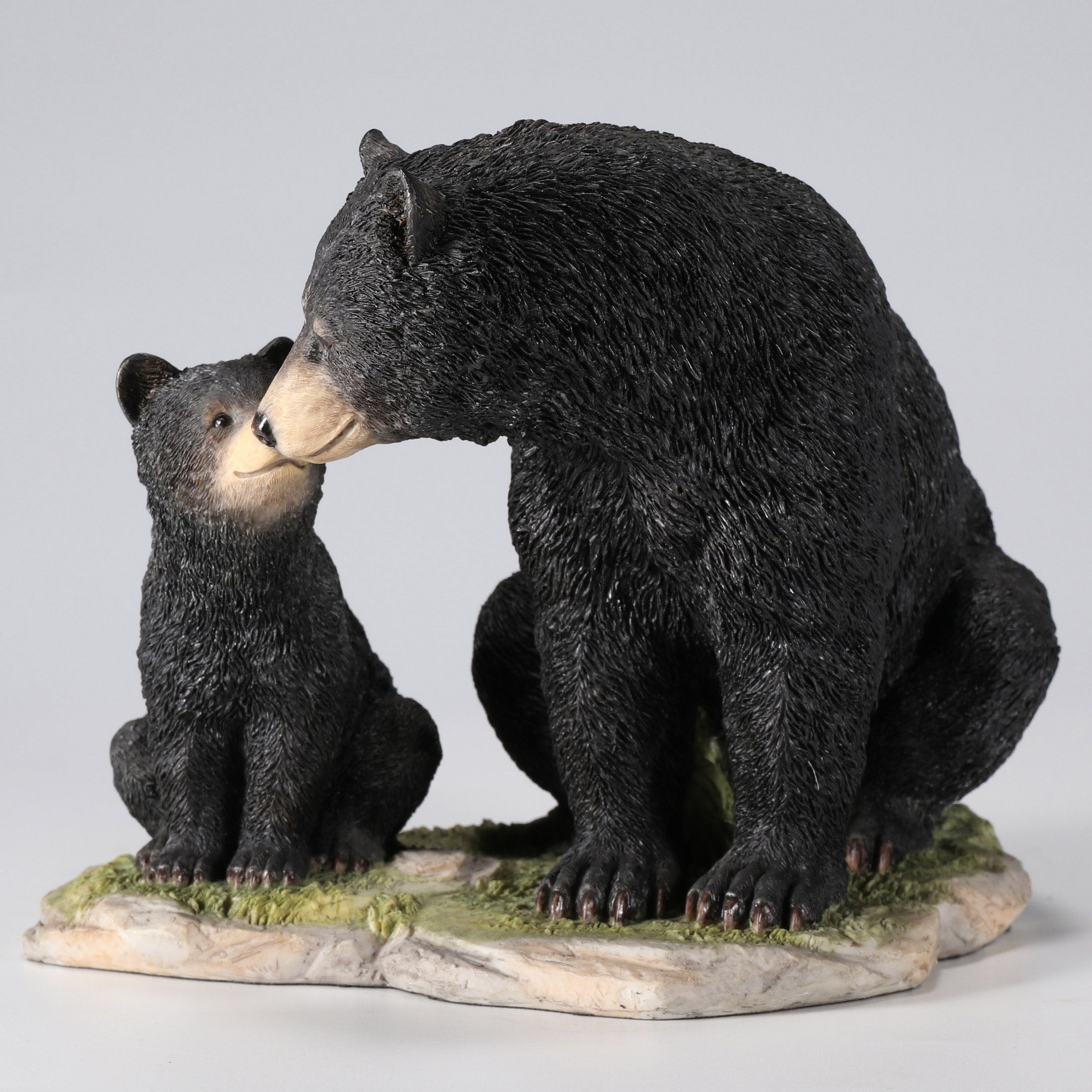 Black Bear Sitting With Her Cub